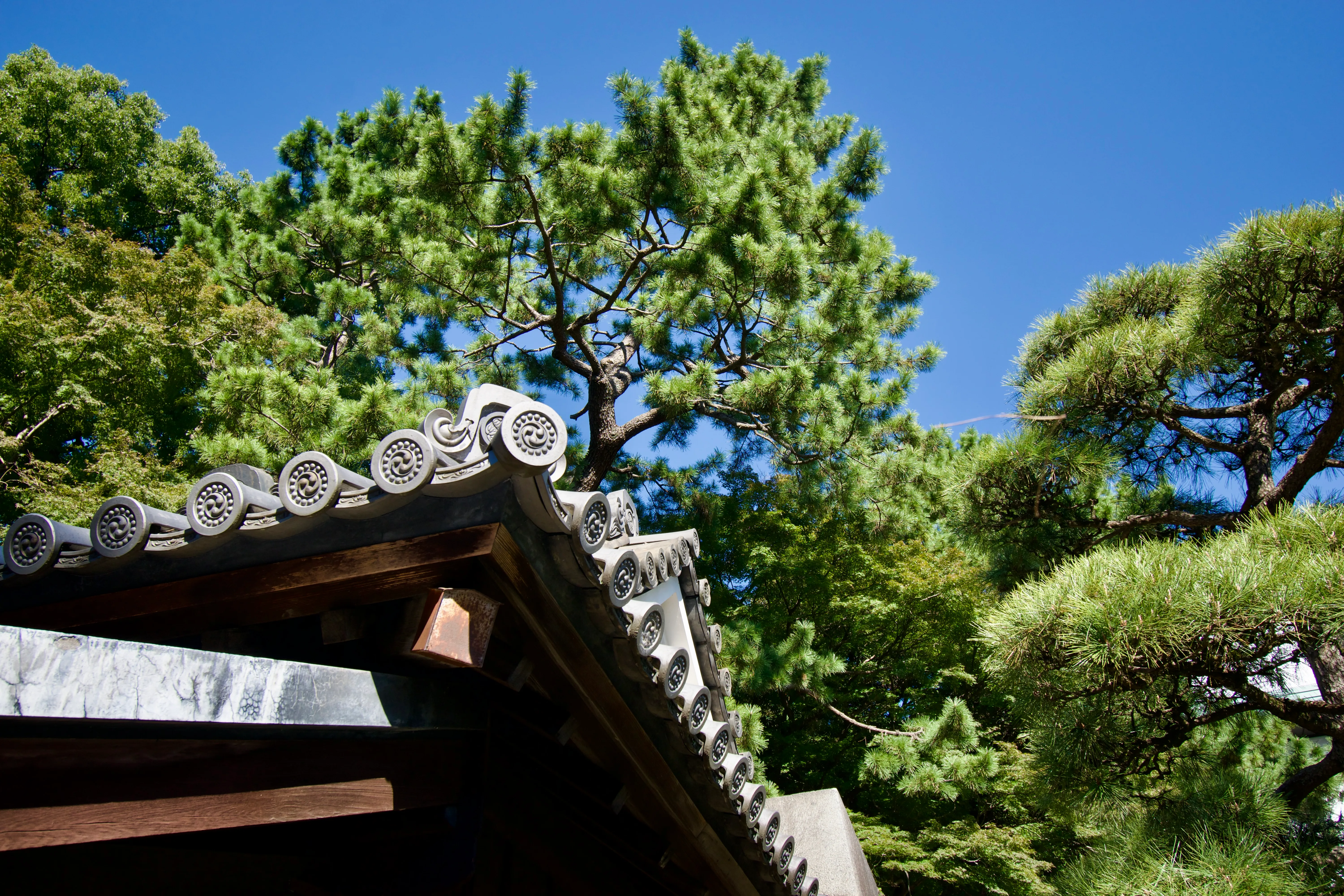 The roof of a guardhouse at the entrance of the Imperial Palace East Garden