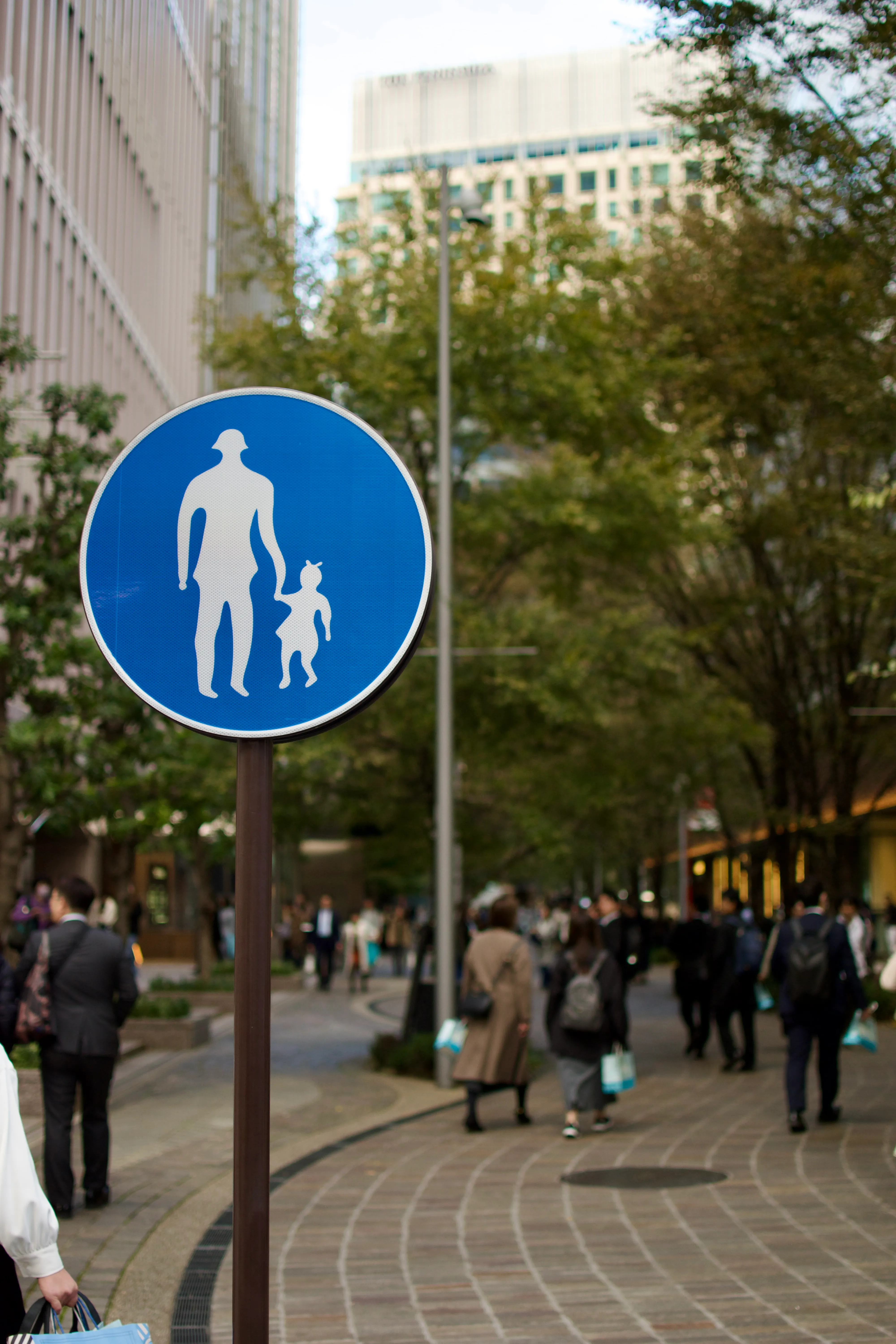 A pedestrian only street near Ginza