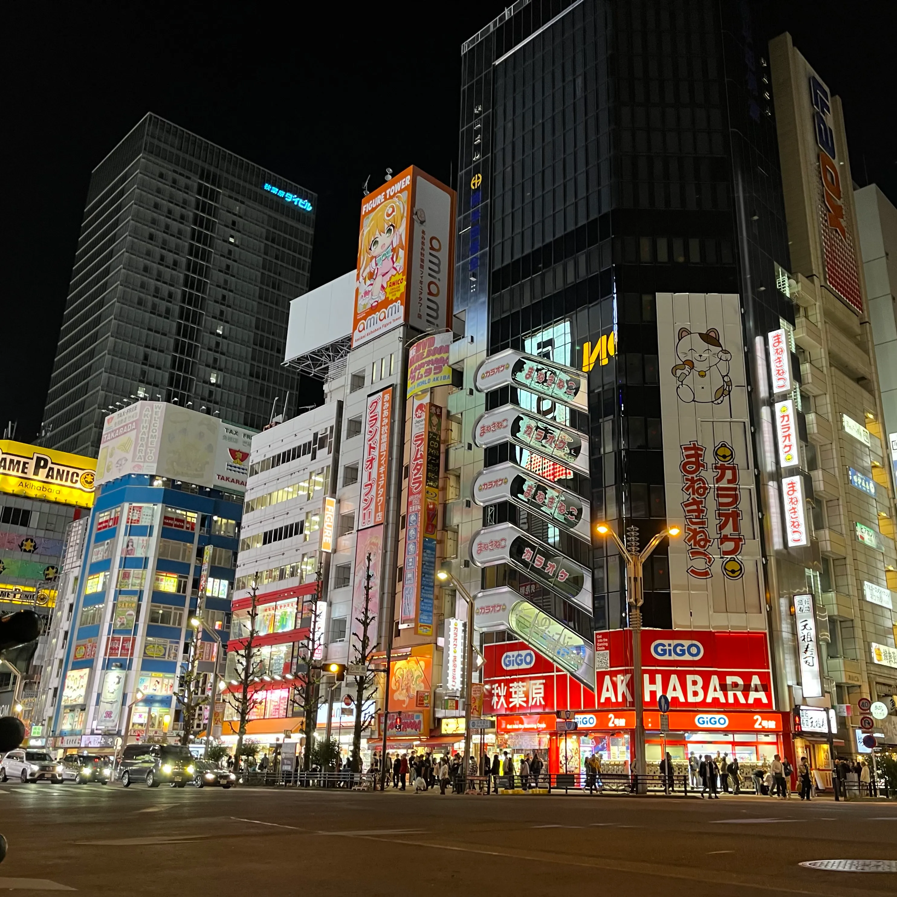 Akihabara Electric Town at night