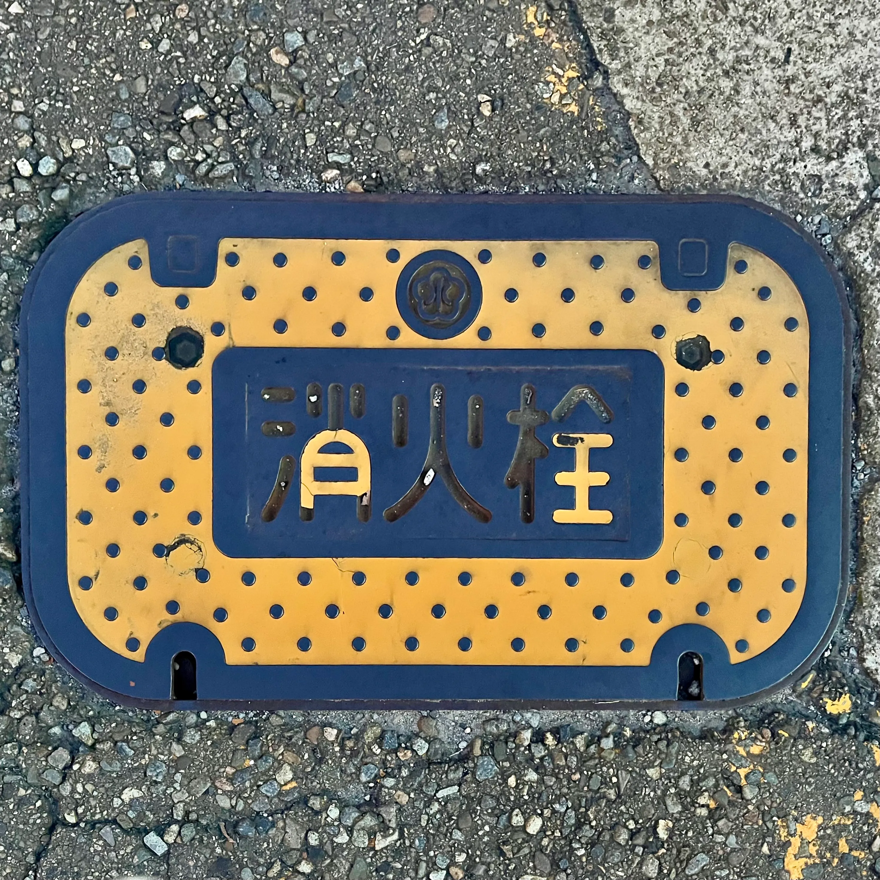 A fire hydrant cover in Kanazawa