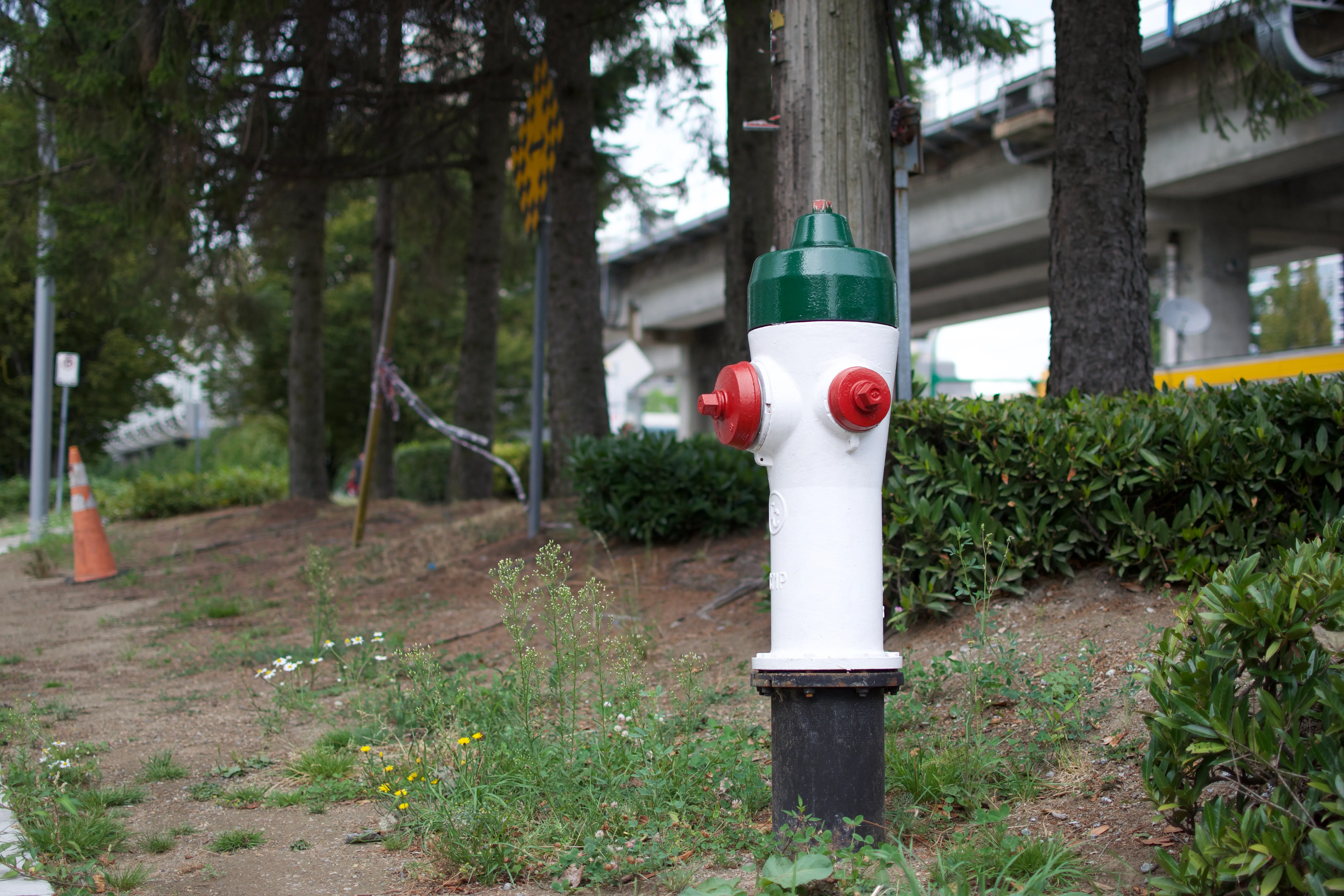 A side view of a fire hydrant with a white body, green top, and red caps