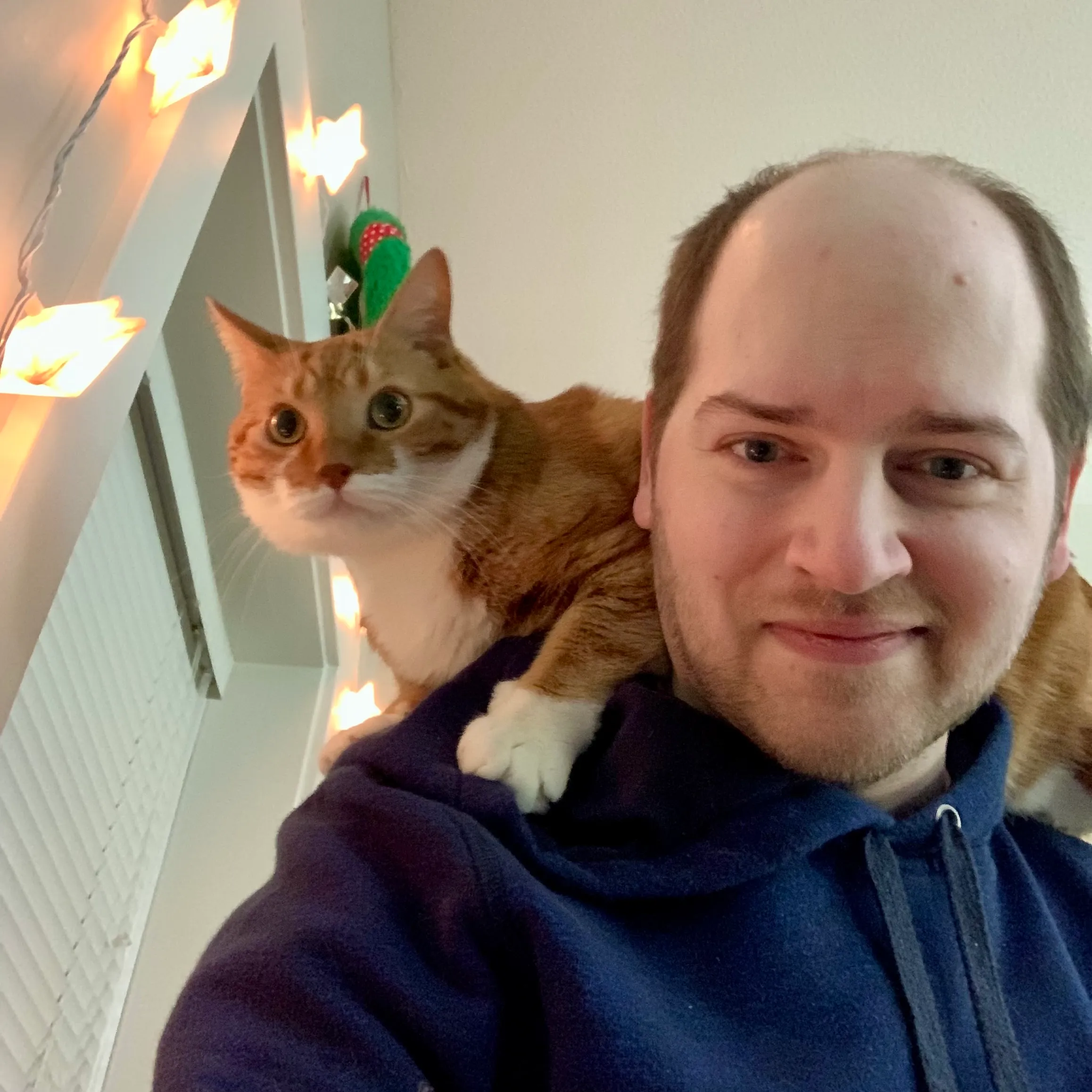 Diggy perches on my shoulder with star-shaped lights and a Christmas wreath in the background