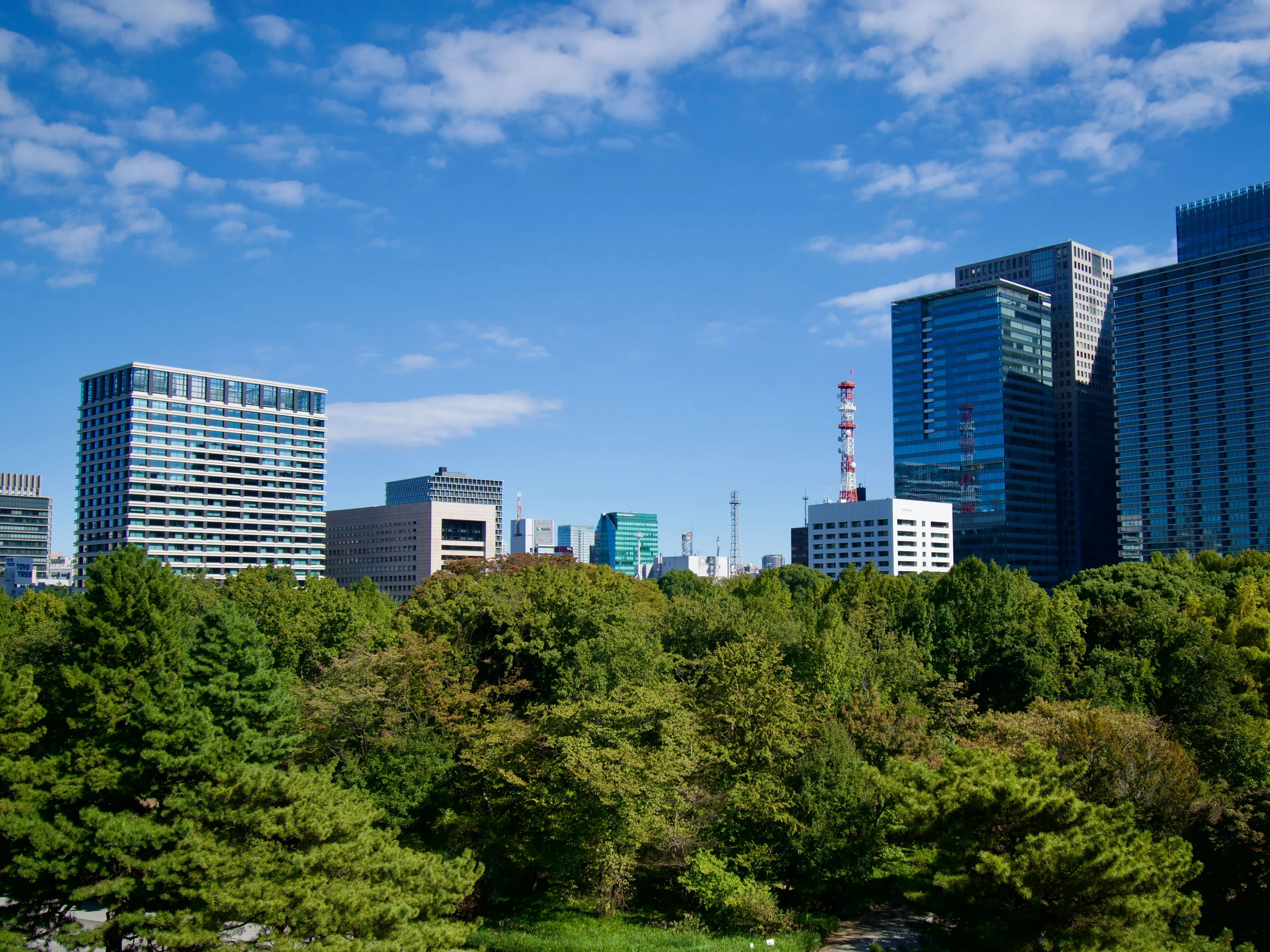 A view of trees, towers, and sky from the middle of Tōkyō's Imperial Palace East Garden