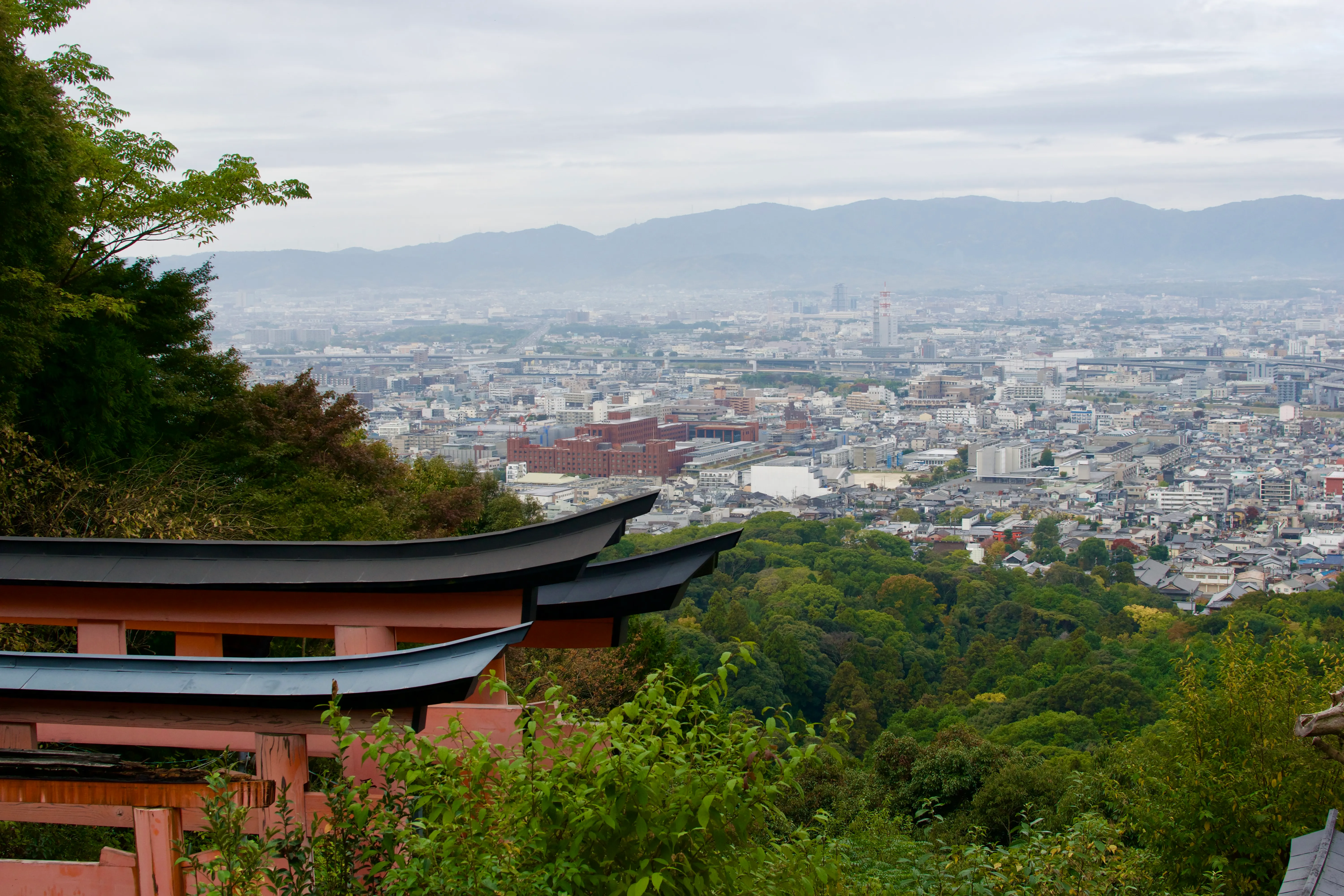 Torii gates overlooking the city of Kyoto