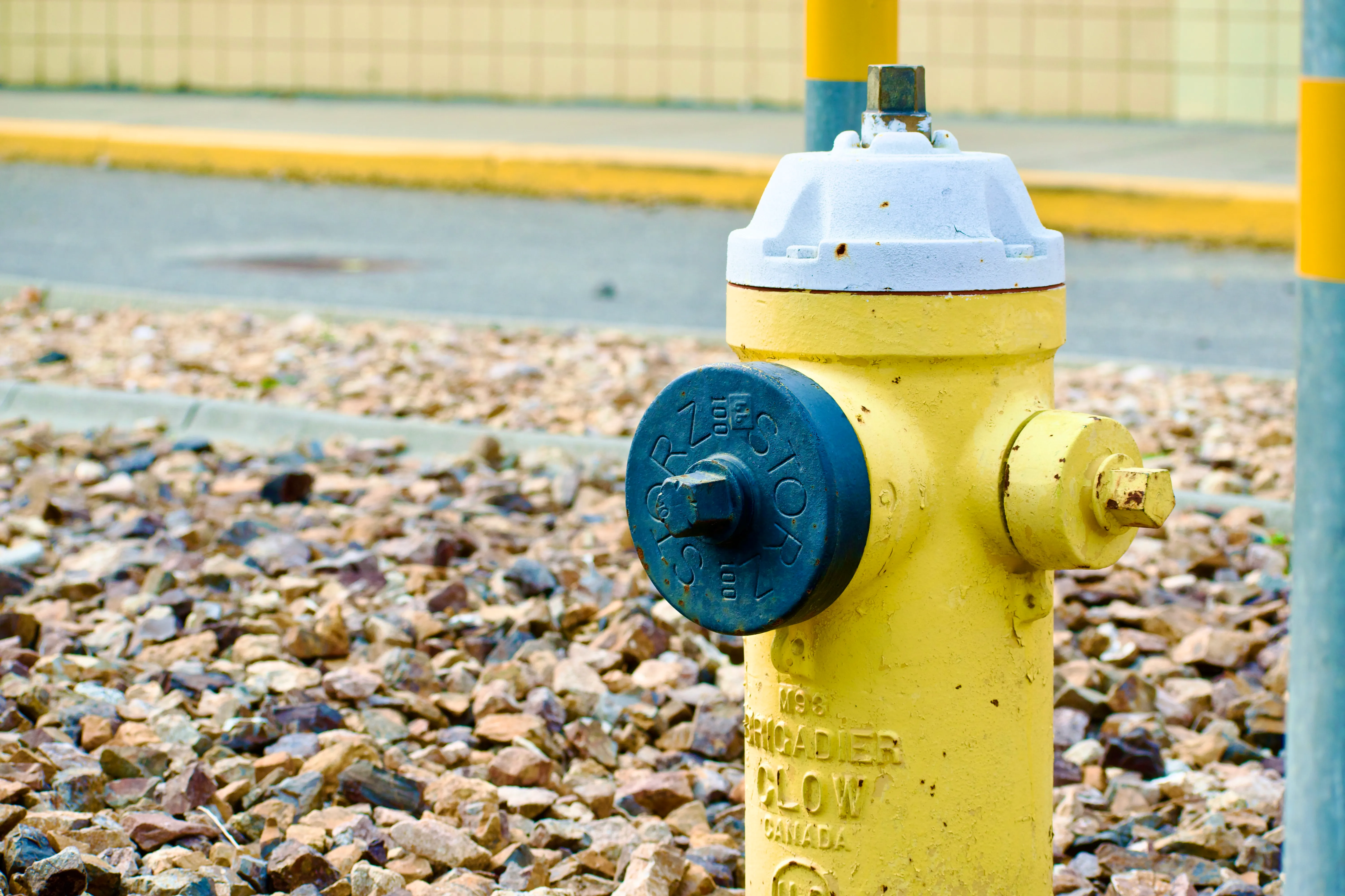 A yellow fire hydrant with a large black cap on the front. It is surrounded by small rocks.