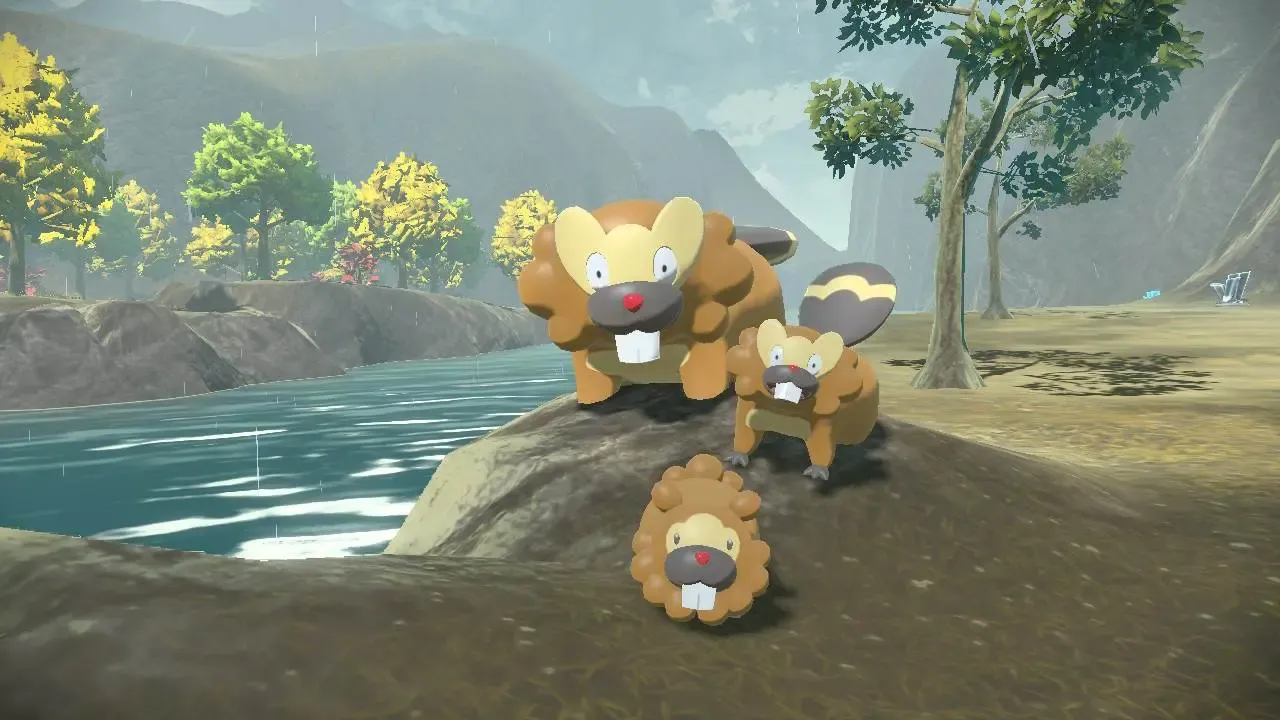 A family of Bidoof and Bibarel