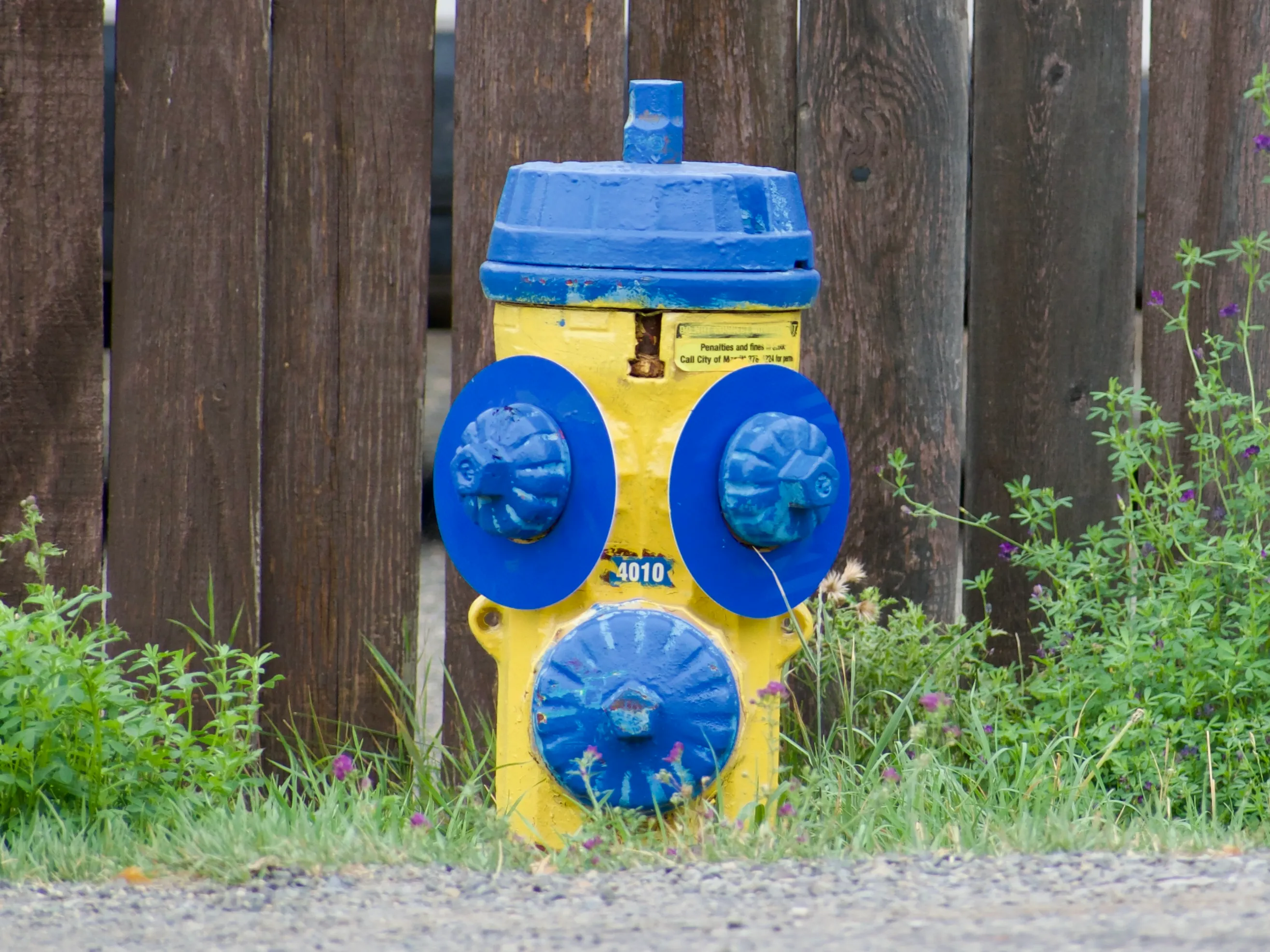 A yellow fire hydrant with blue top and three blue caps in a triangle on the front