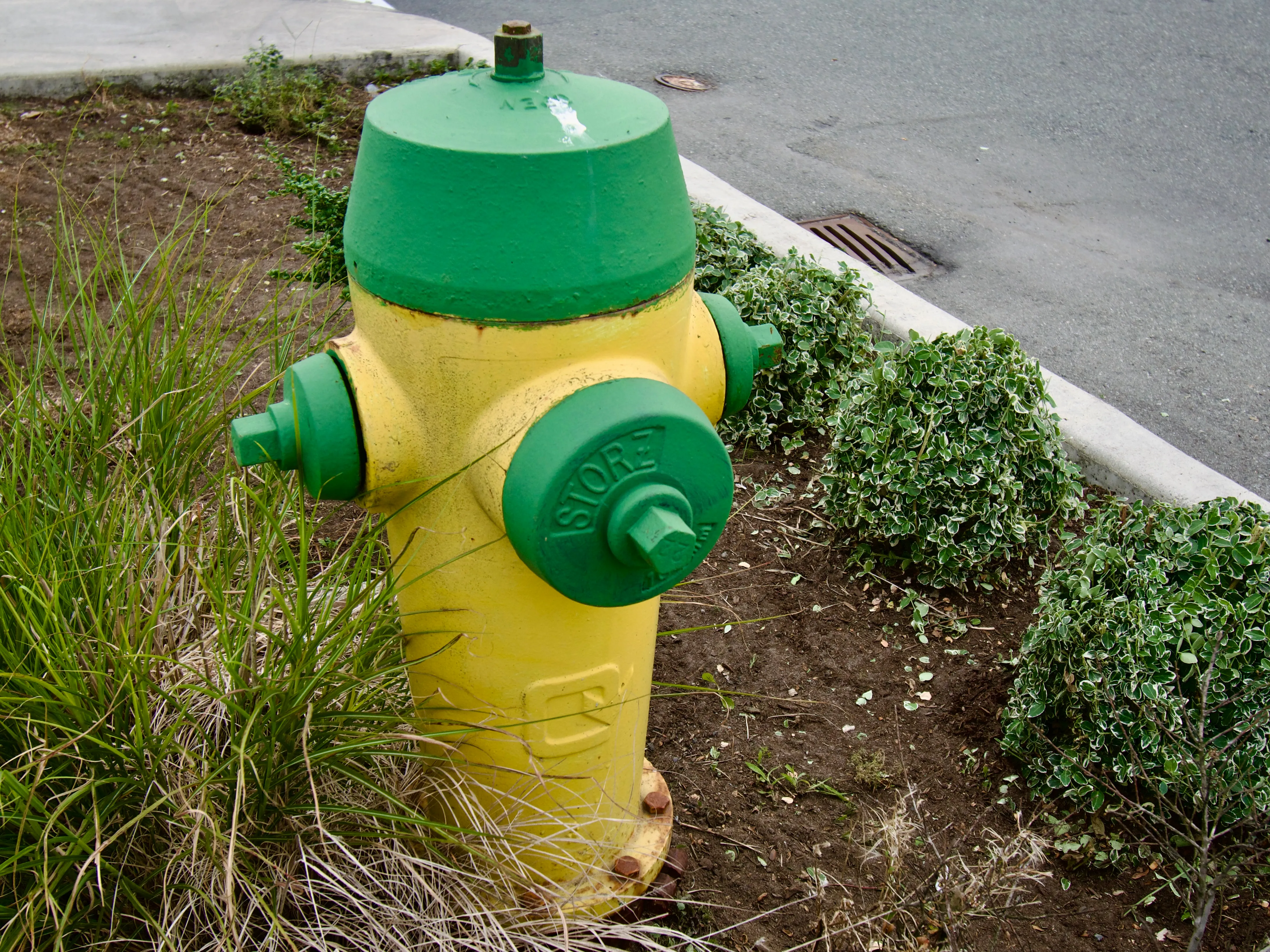 A yellow fire hydrant with green top and green caps