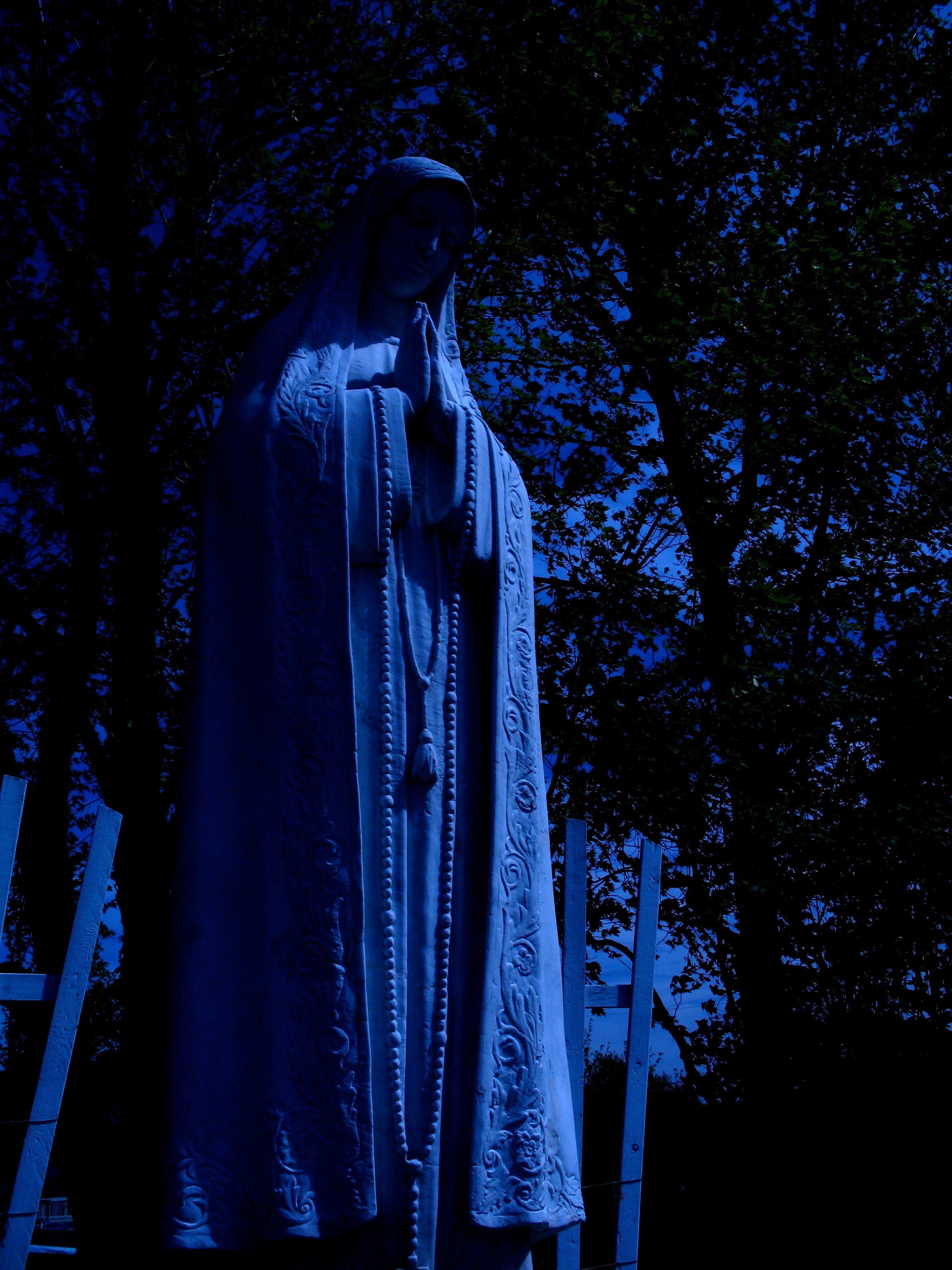 A statue of the Virgin Mary with an ominous blue colour-grade, as though it was a day-for-night shot in an old horror movie.