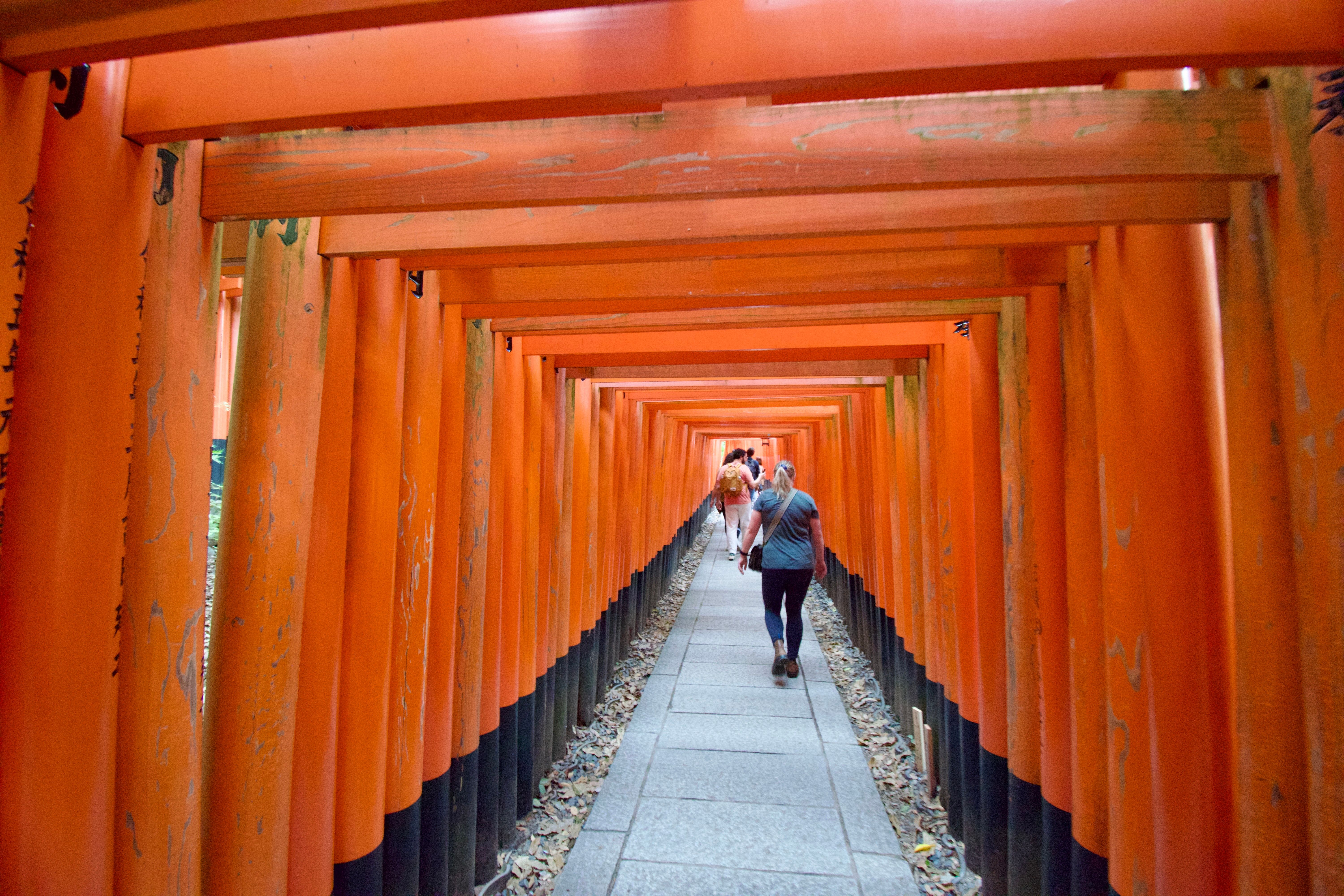 Tourists walk through a passage formed by dozens of bright red torii gates extending into the distance.