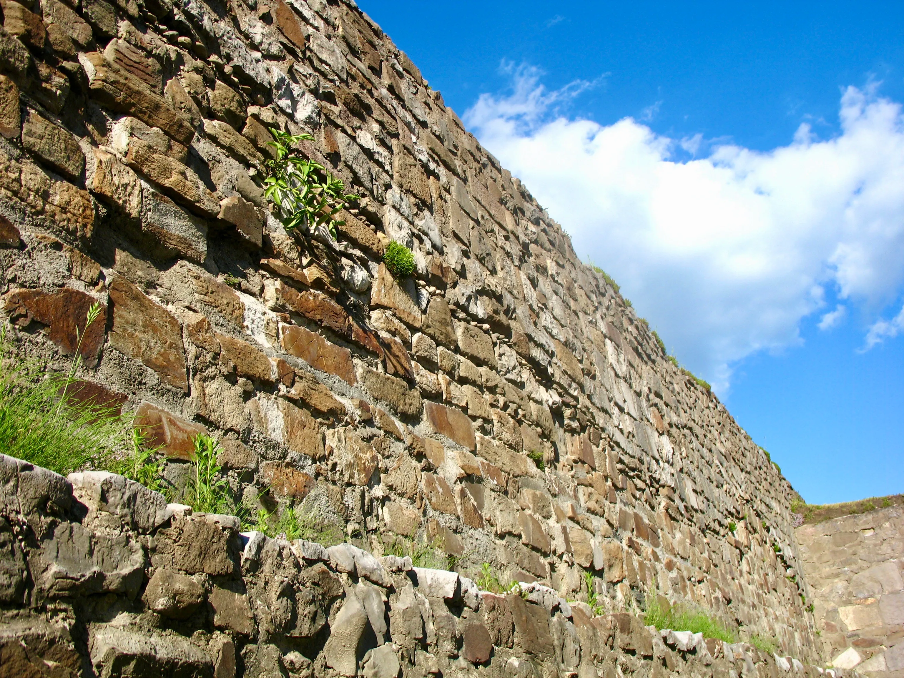A bottom-up view of an ancient stone wall, covered with some grass and plants. The blue sky and a fluffy white cloud are visible above the wall.