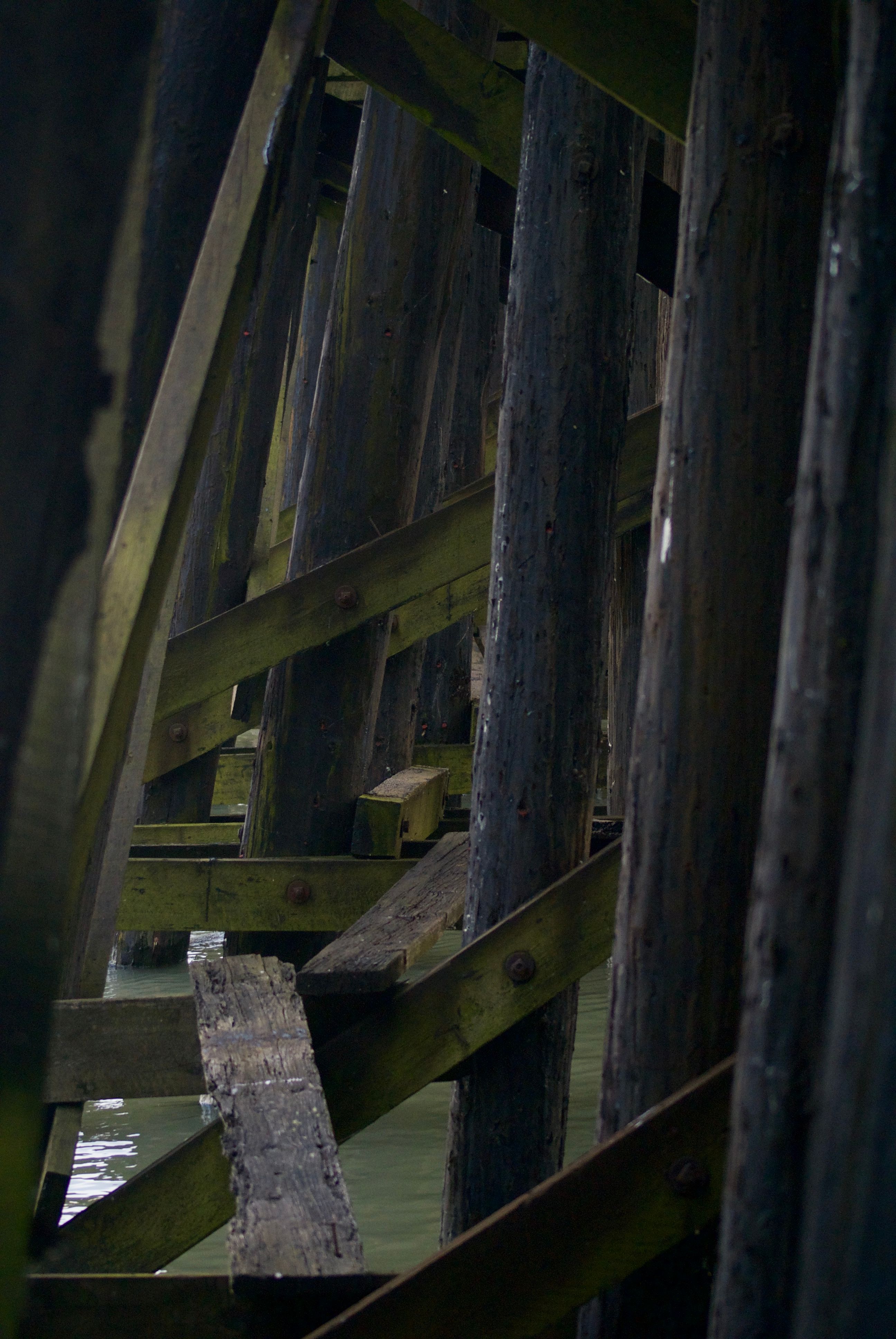 Wooden pillars supporting a trestle bridge over a muddy green river.