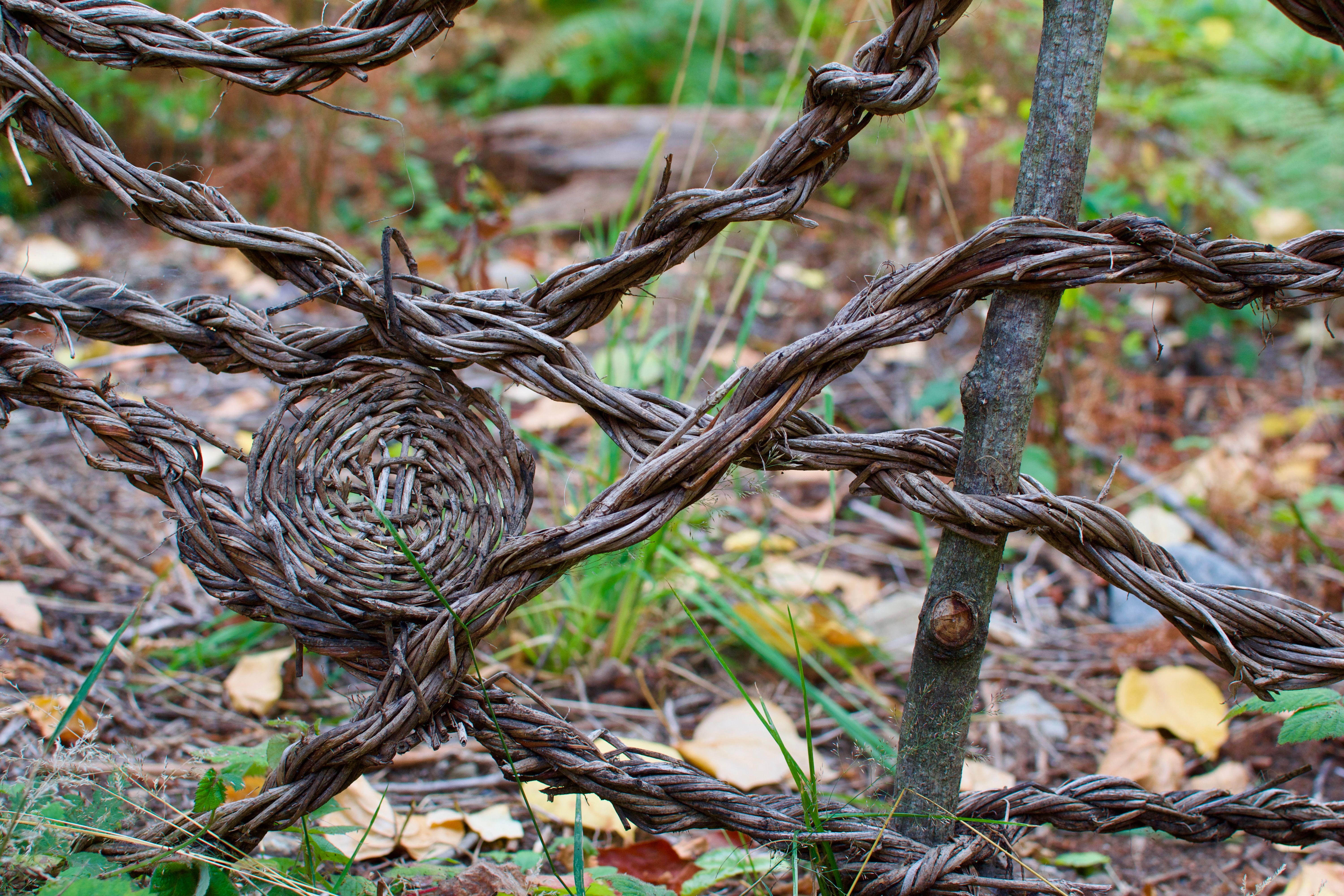 A fence made of braided wood