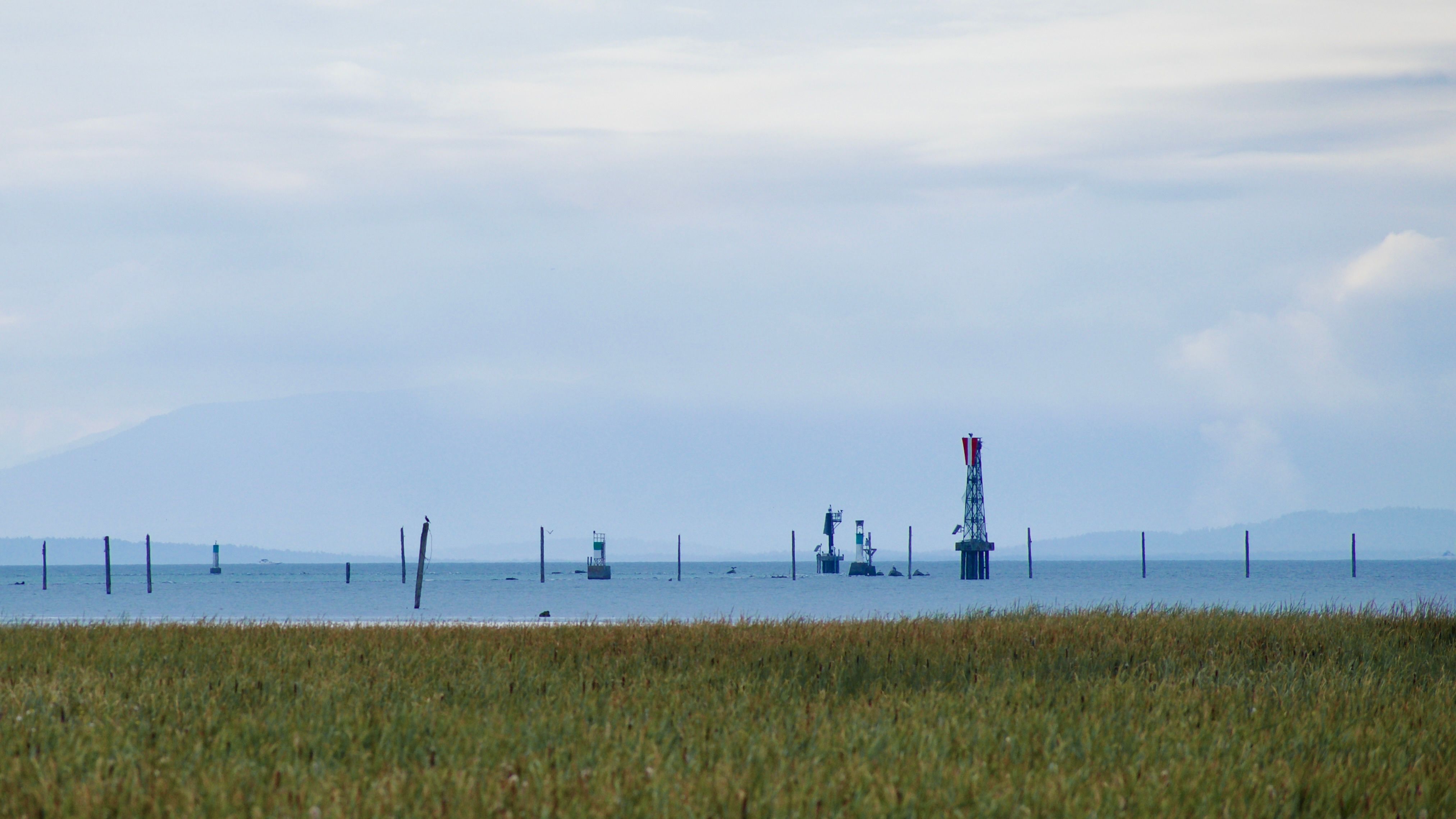 Several posts, daybeacons, light towers, and other aids to marine navigation mark the channel between Sturgeon Bank and Roberts Bank. Marsh vegetation is visible in the foreground.