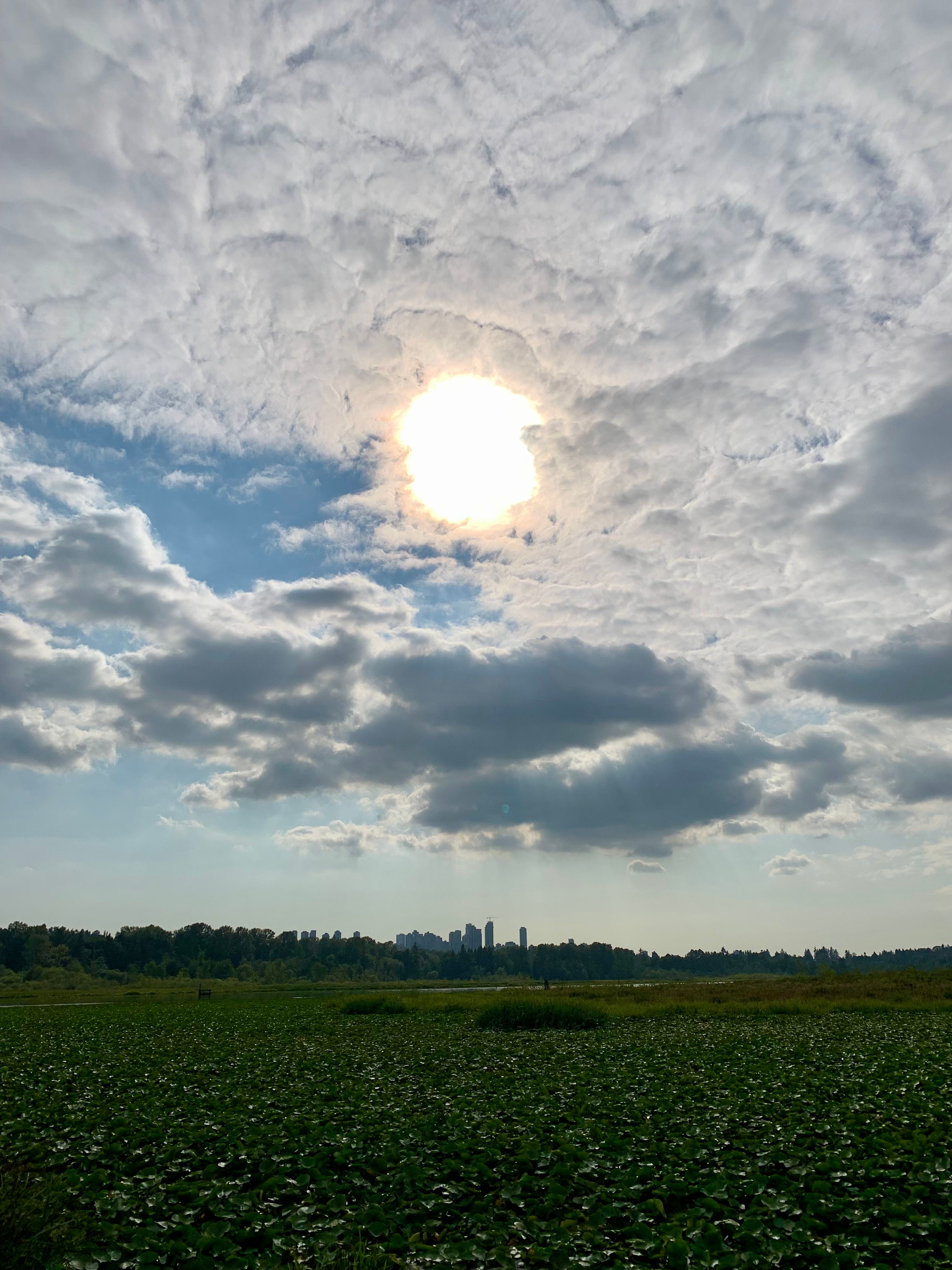 Sun shines through broken clouds above a lilypad-covered lake