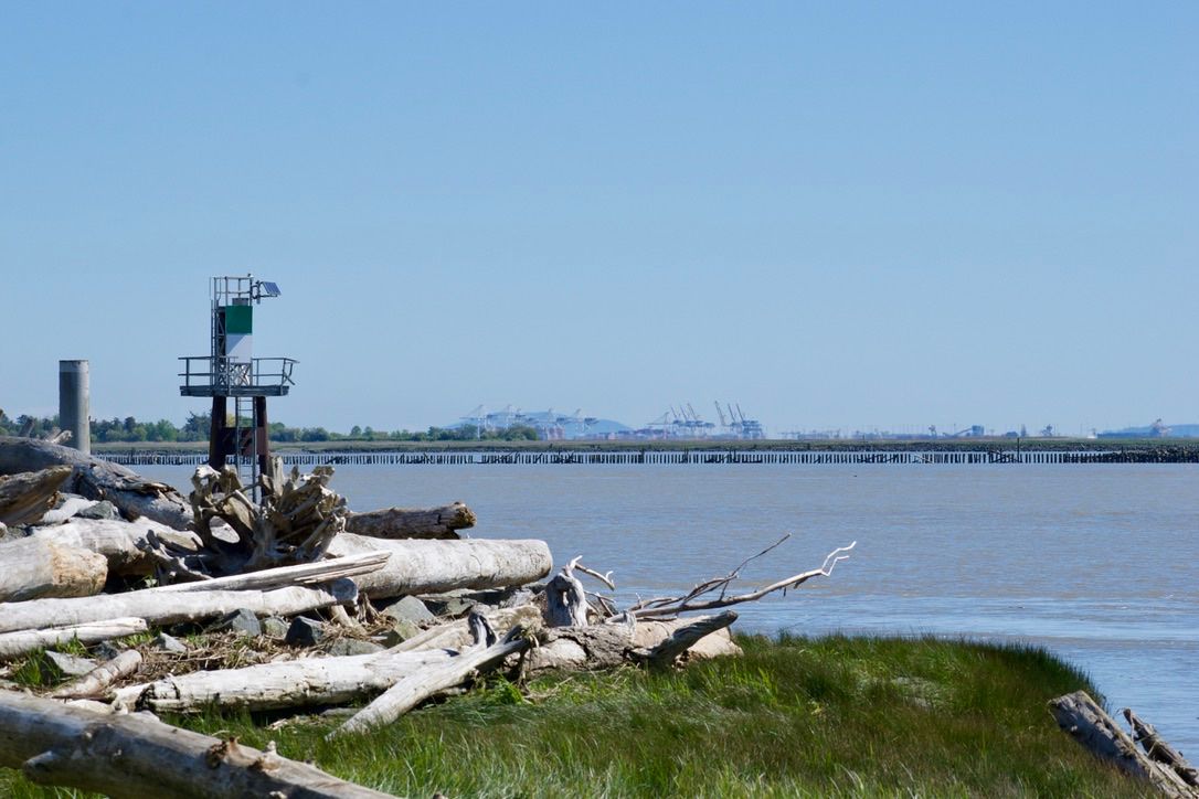 Driftwood is piled up on a marshy shore in front of a port hand daybeacon. The port at Roberts Bank is visible in the far distance.
