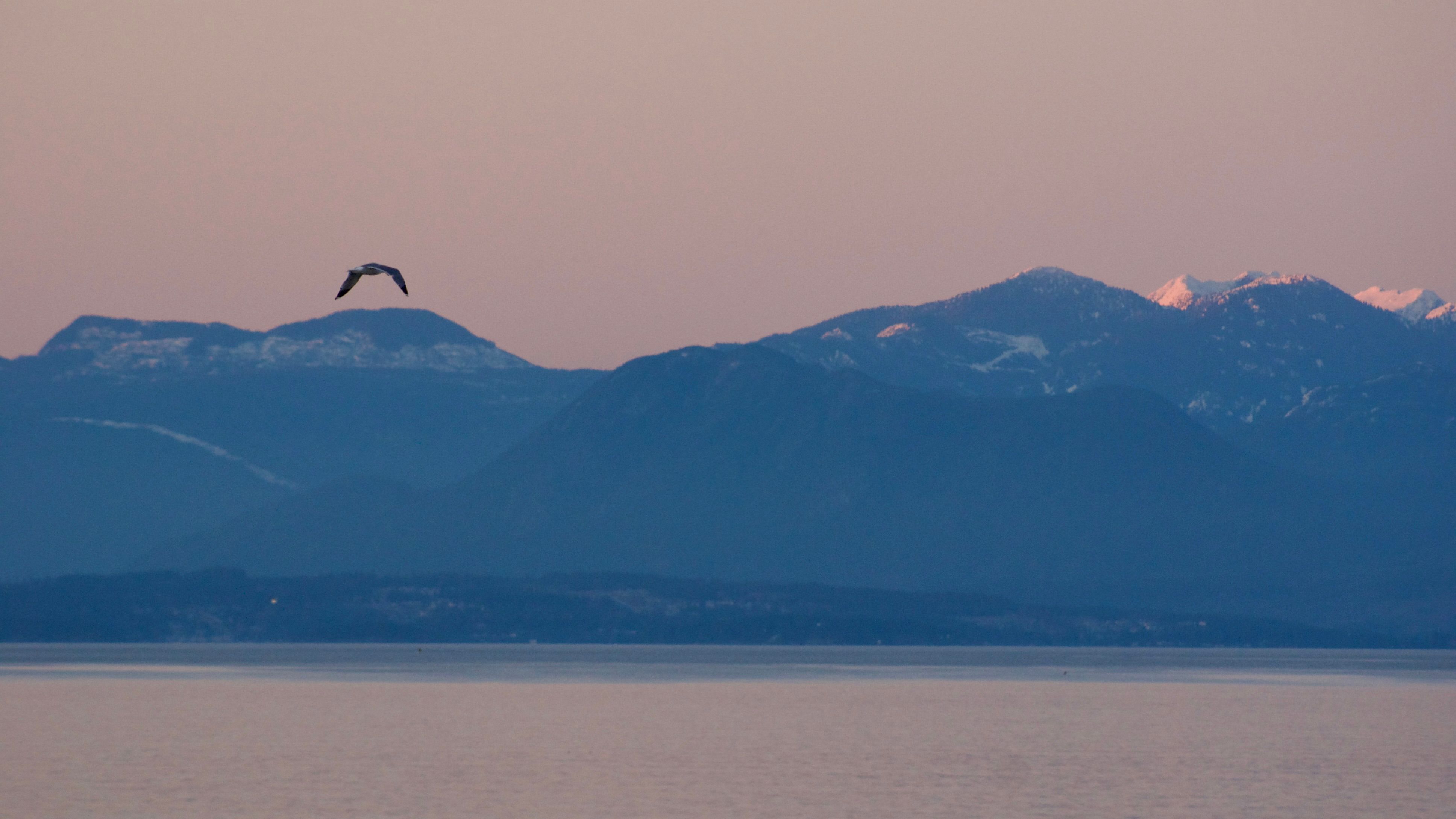 A bird soars over a calm body of water with snow-capped mountains in the distance. The sunset sky is a mix of orange and blue.