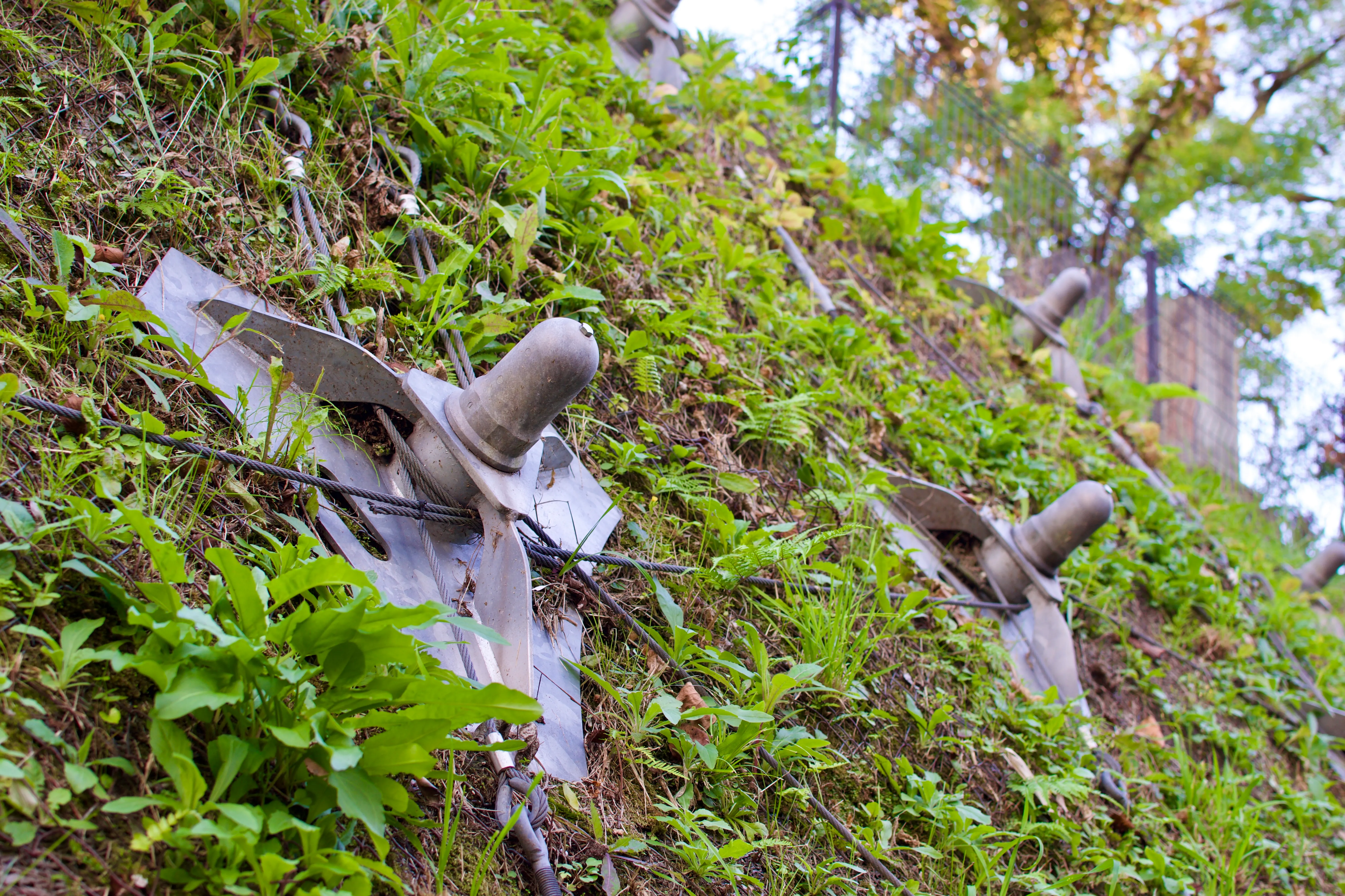 Metal posts secured with cables support a grassy hillside, for erosion control or earthquake preparedness.