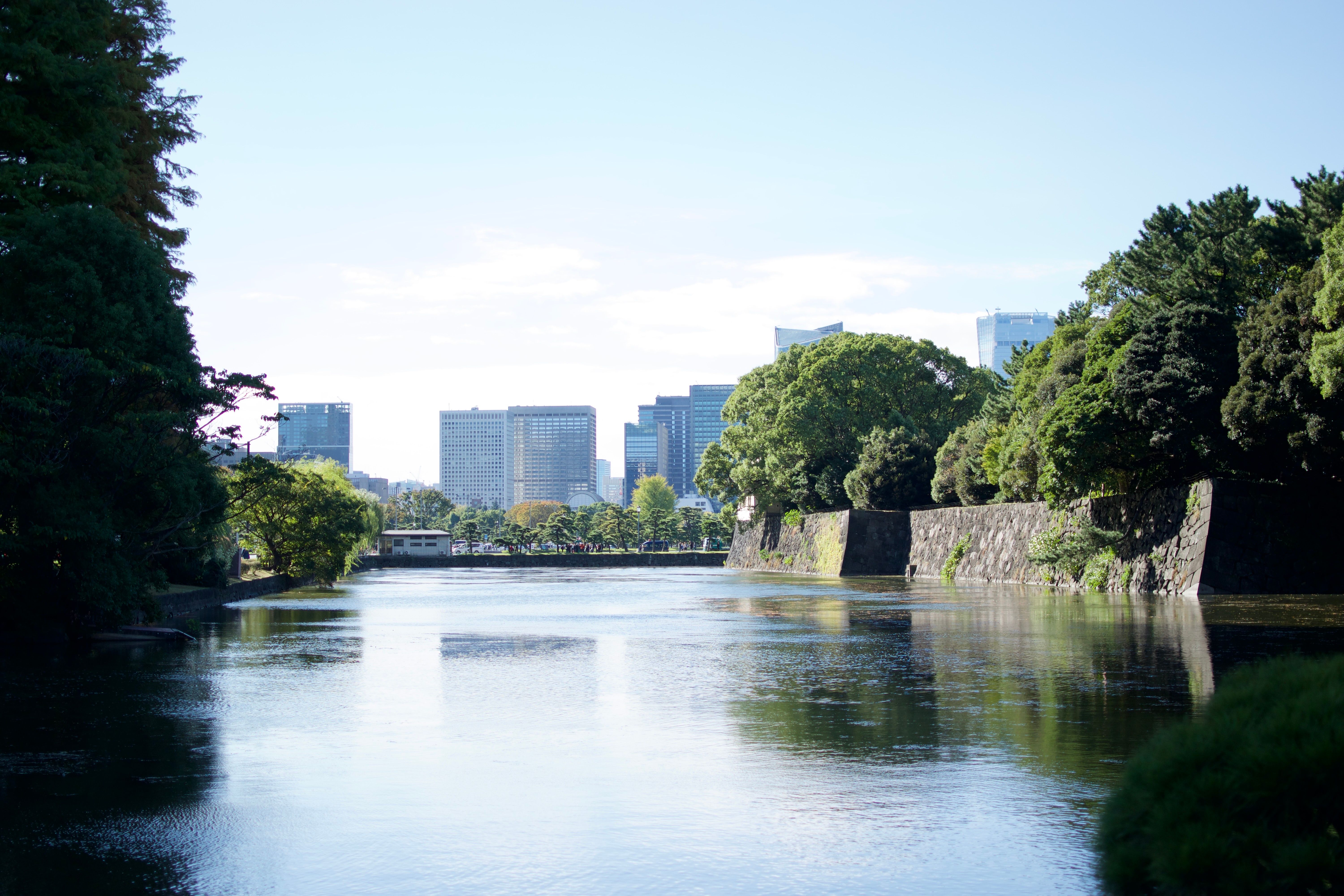 The moat outside the Japanese Imperial Palace, with skyscrapers in the distance and trees of the palace gardens on the right.