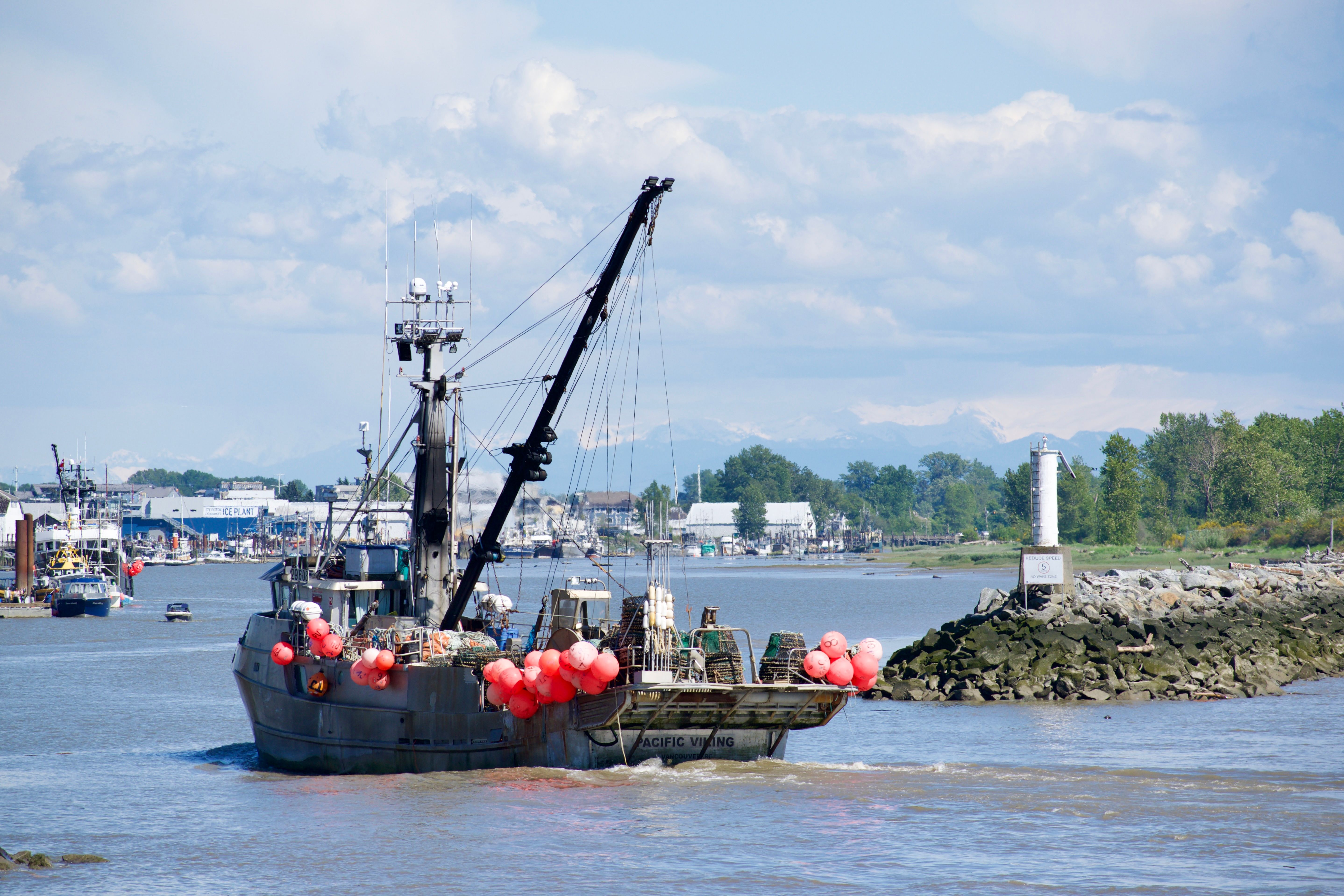 A fishing boat covered with spherical orange buoys passes through the entrance to a cove marked by a beacon on a breakwater.