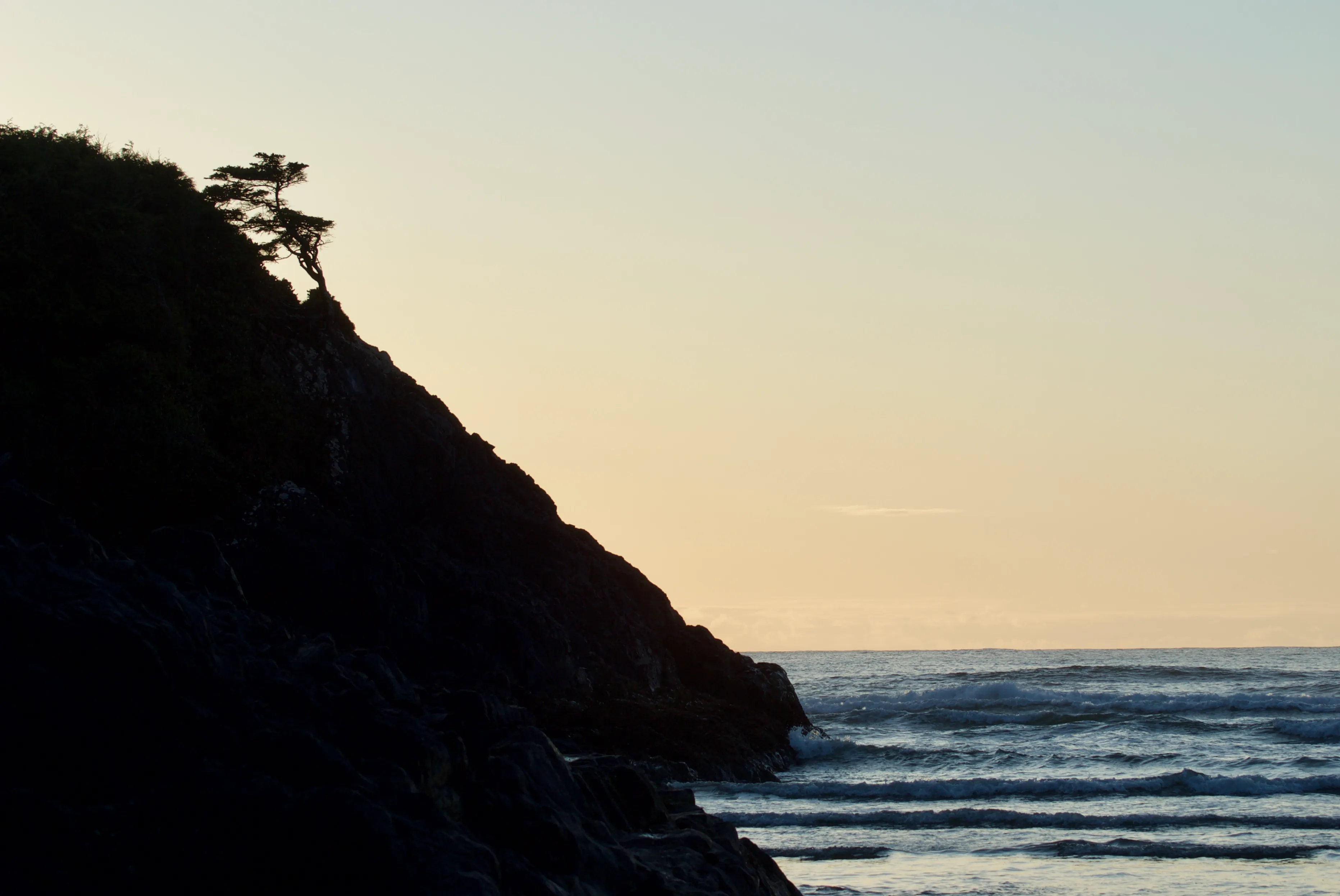 A lone tree stands atop a rocky cliff overlooking the ocean. Waves lap against the base of the cliff under a bright sky.