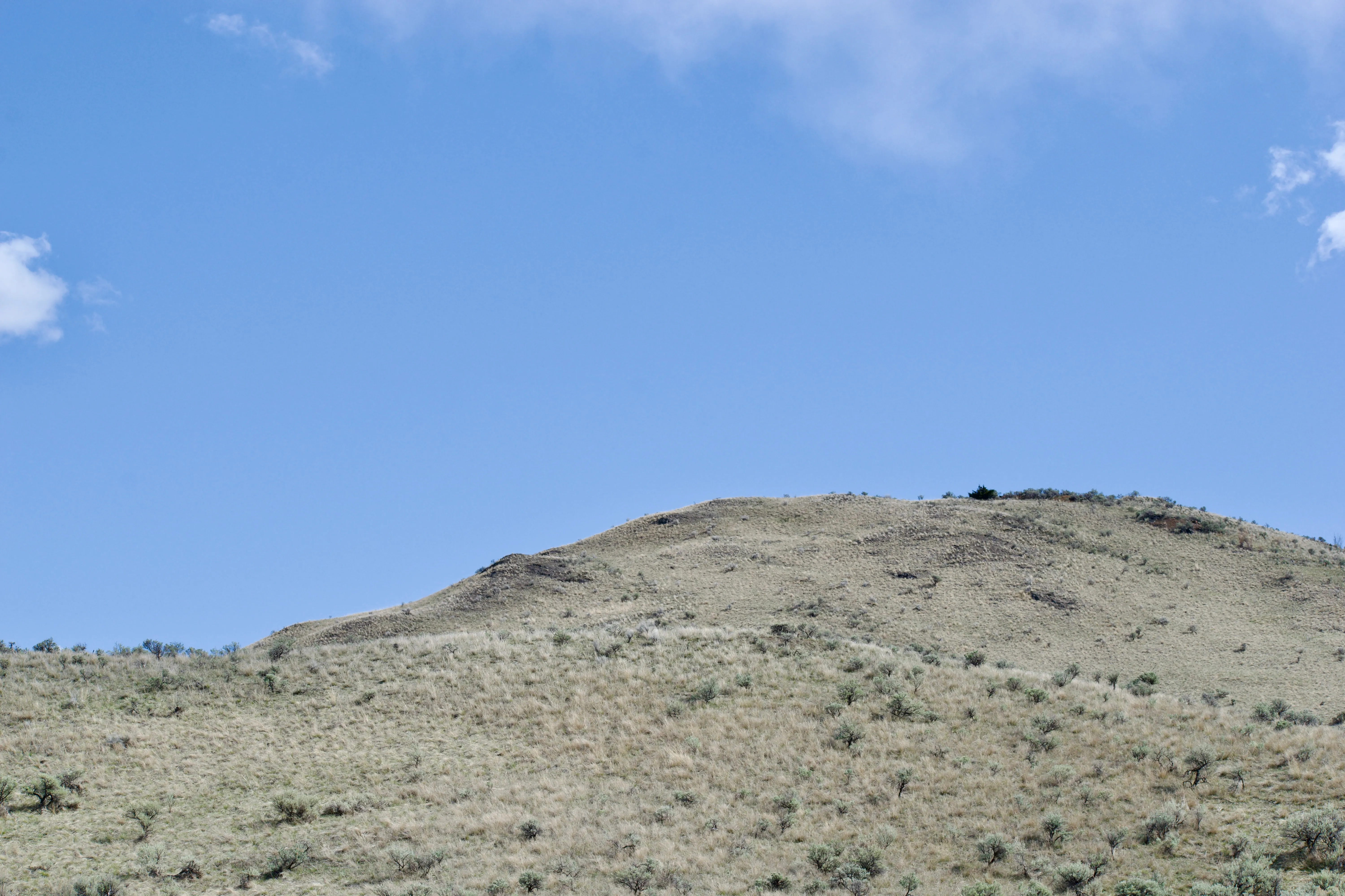  A sagebrush-covered hill rises against a clear blue sky.