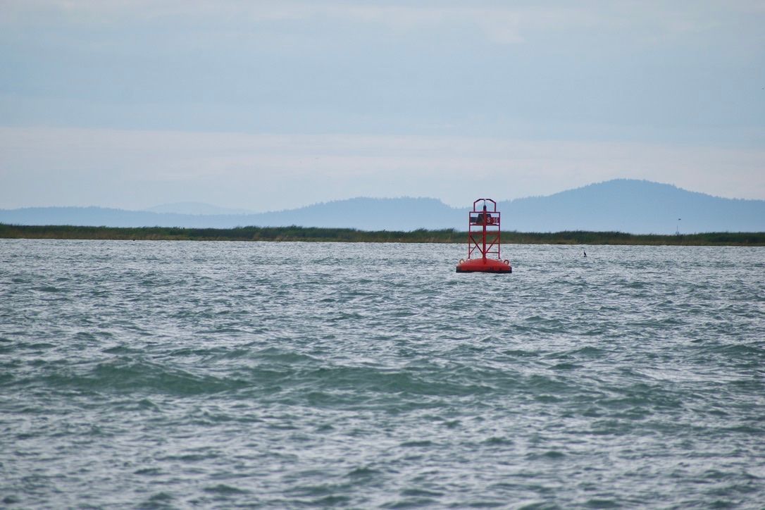 A red buoy on choppy waters, with a thin strip of green marshy land on the other side of the channel.