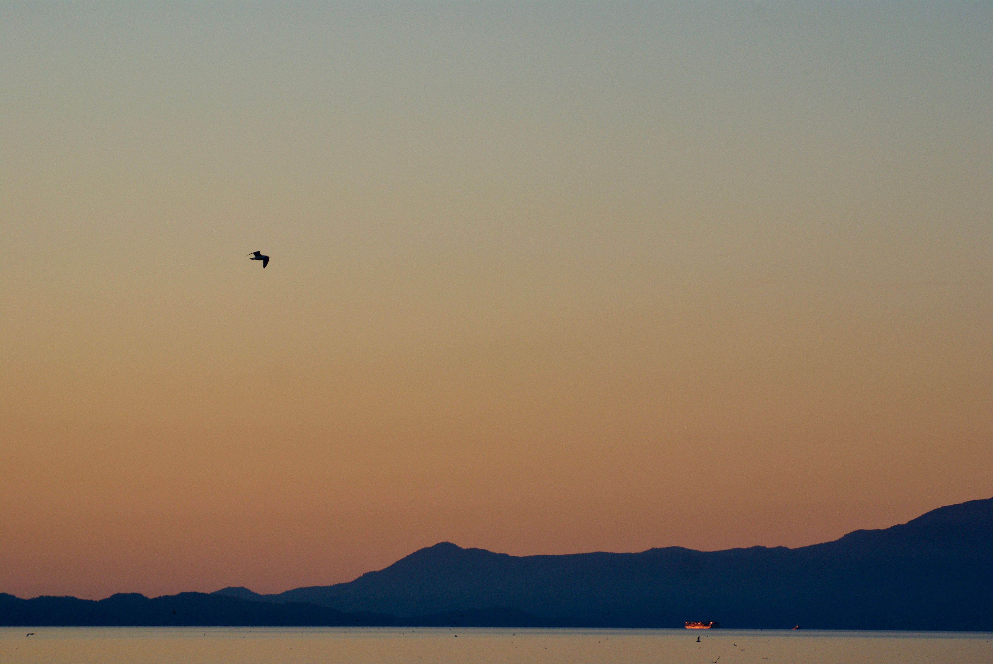 A silhouette of a seagull against a sunset, above Vancouver's North Shore mountains and an illuminated ship.