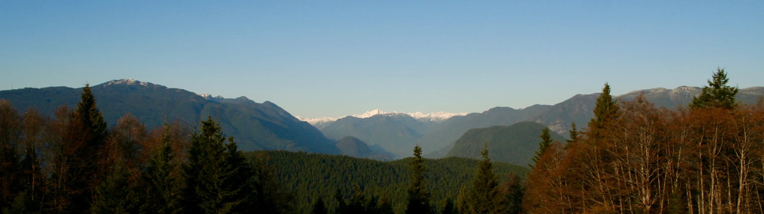 The North Shore mountains as seen from SFU, with red and orange trees in the foreground