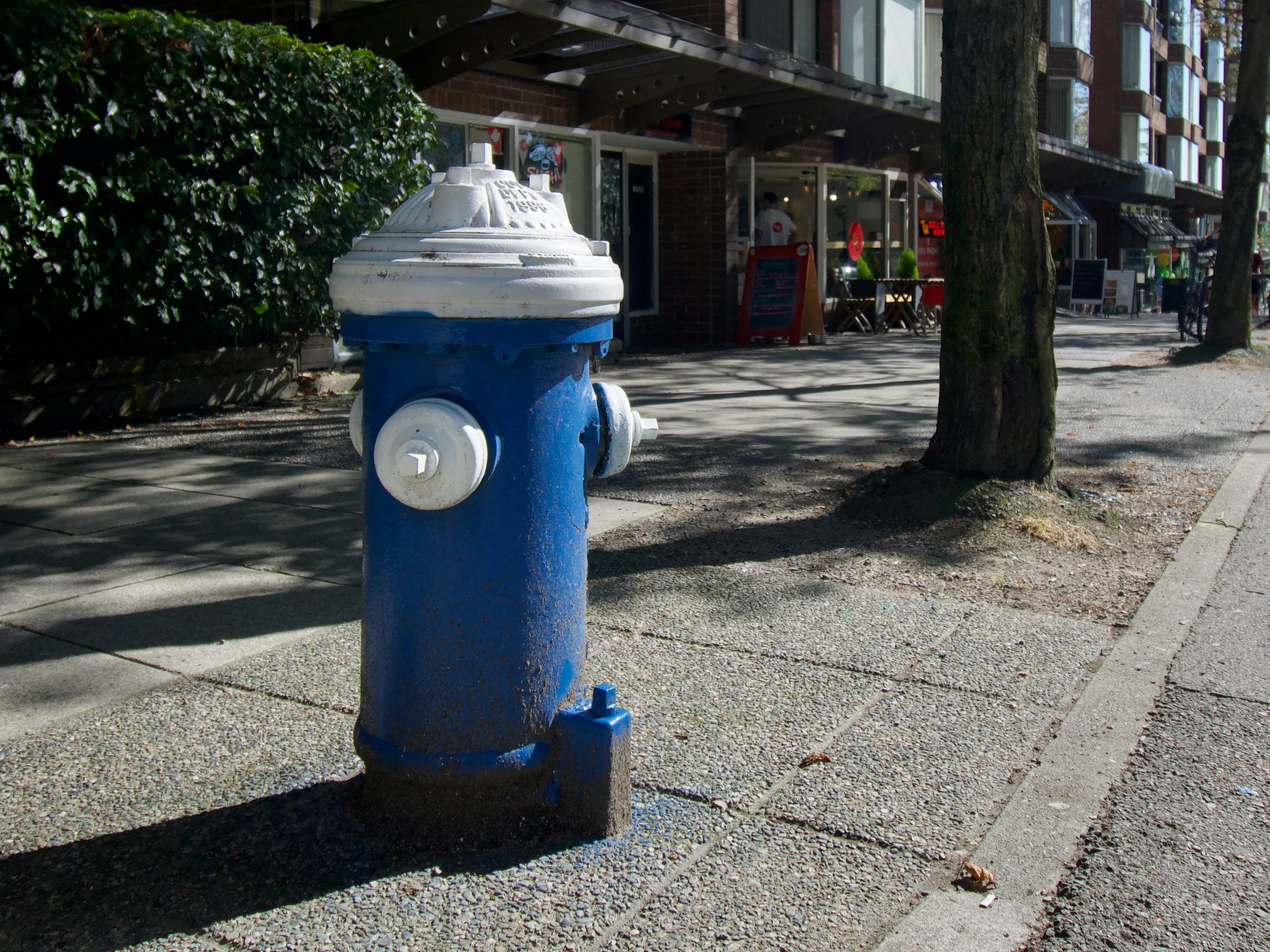 A large blue fire hydrant with a white top and white caps