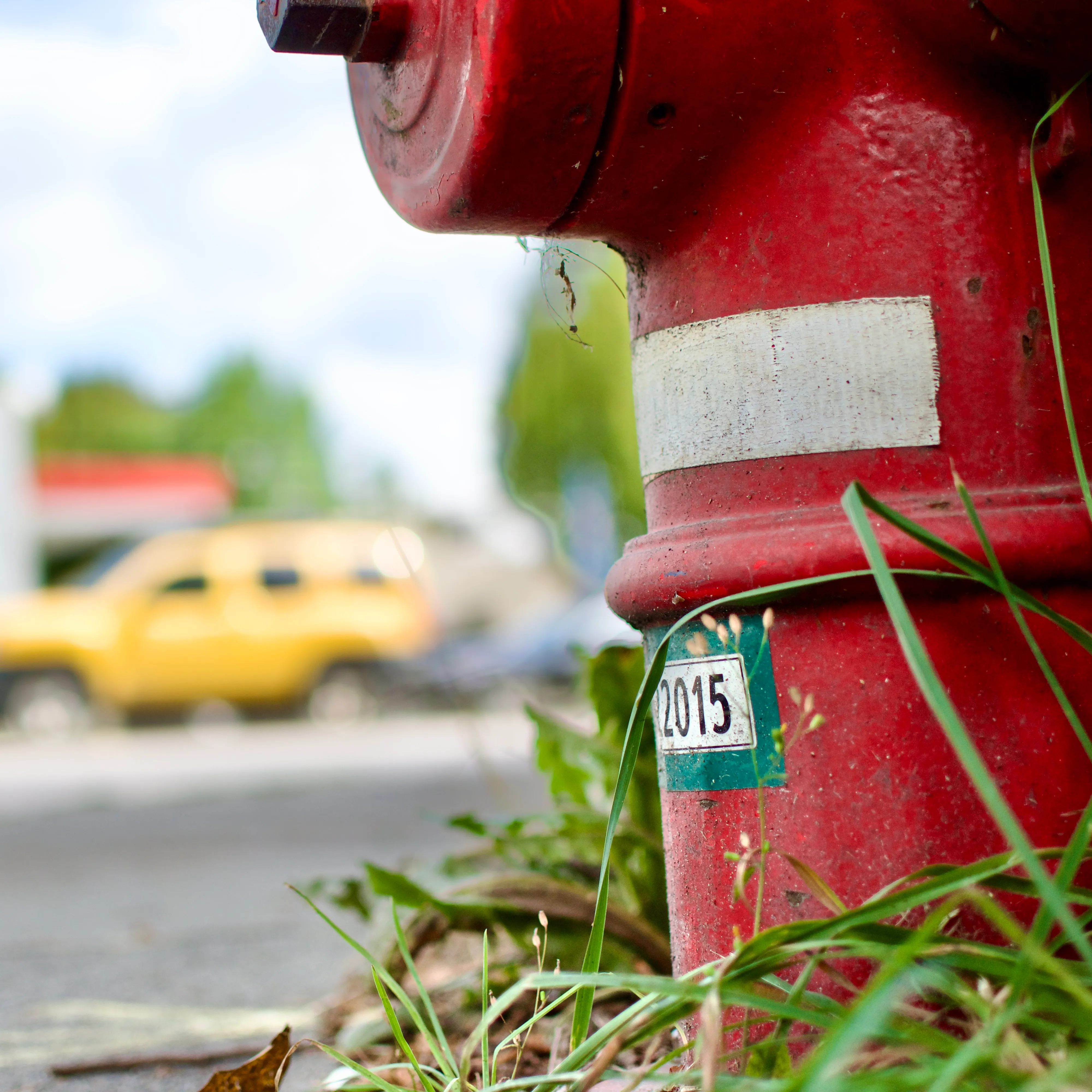 A red fire hydrant with a green-bordered ID label