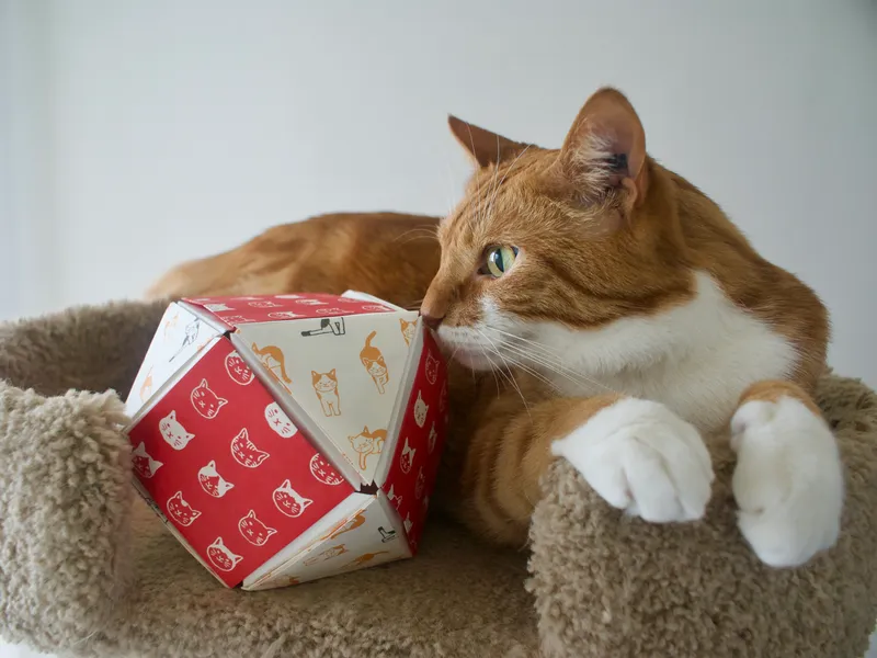 A photo of an orange cat sharing a tower perch with a polyhedron made of red and white cat-print origami paper.