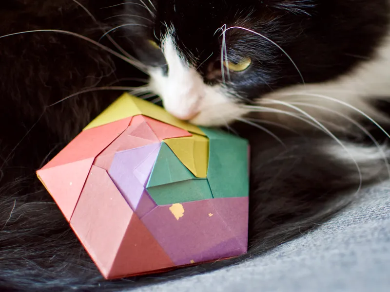A black-and-white cat investigates an origami creation consisting of red, orange, yellow, green, and purple strips of paper folded into a spiral and meeting at the point of a pentagonal bipyramid.
