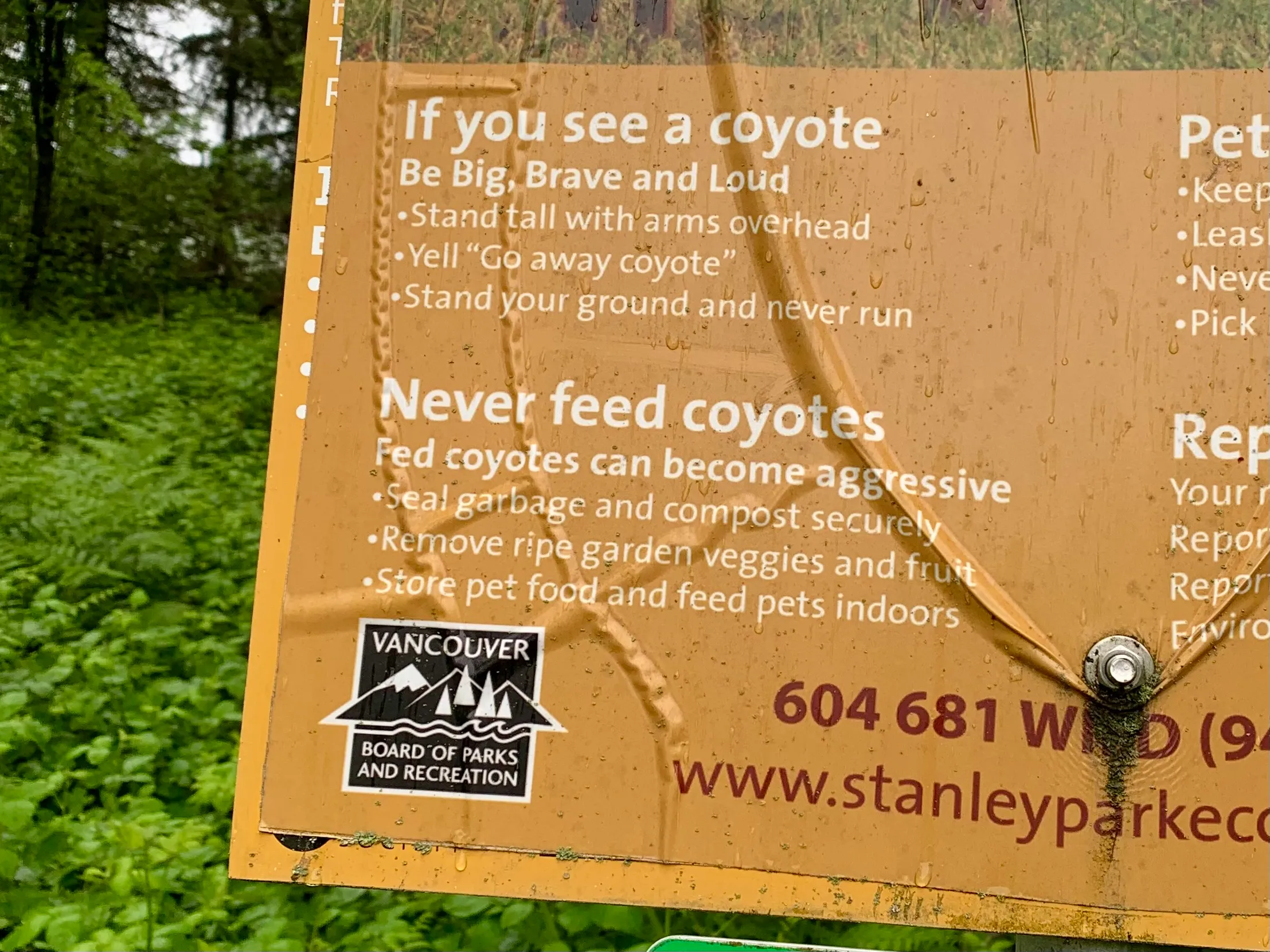 A sign posted by the Vancouver Parks Board at the entrance to a park. Part of the sign reads as follows: If you see a coyote, be big, brave, and loud. Stand tall with arms overhead. Yell 'go away coyote'. Stand your ground and never run.