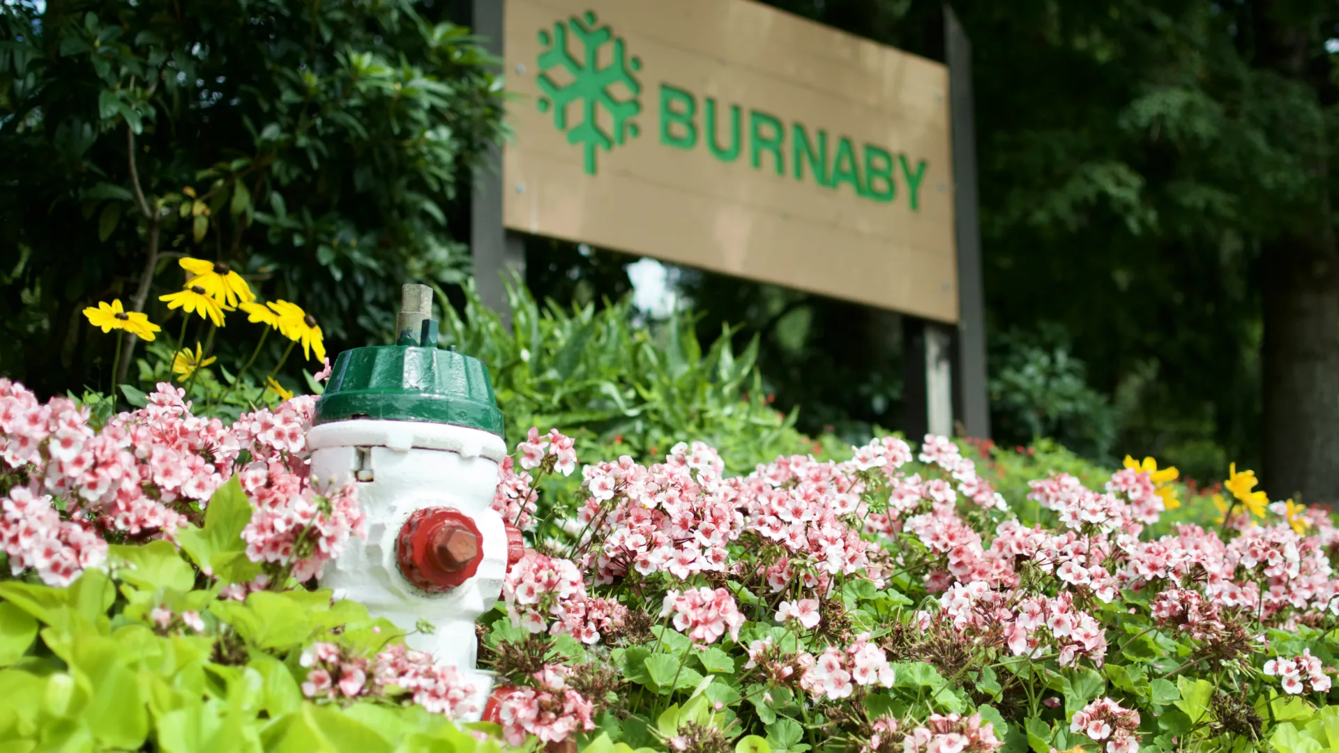 A red, white, and green fire hydrant in a bed of flowers in front of a sign reading Burnaby