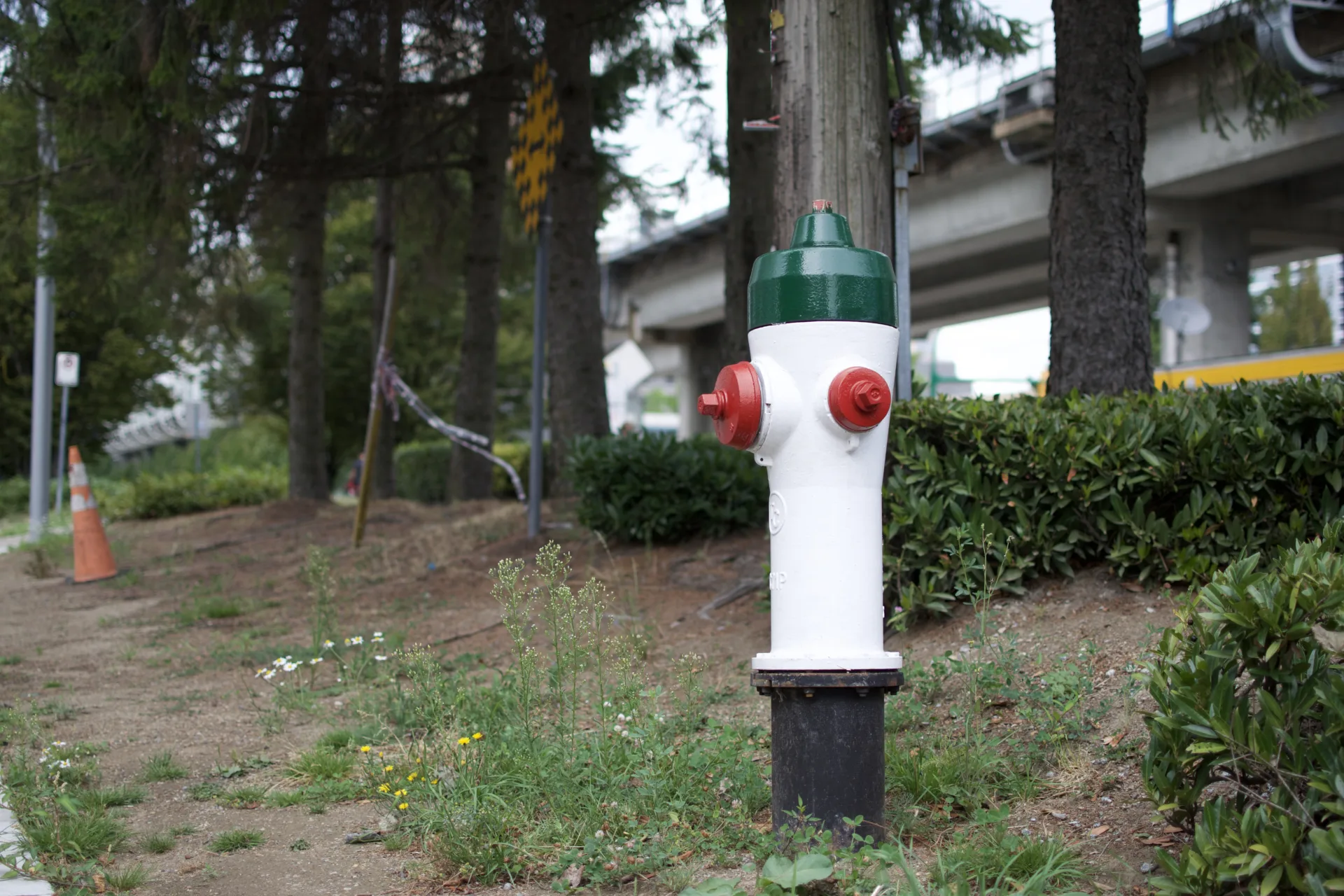 A side view of a fire hydrant with a white body, green top, and red caps