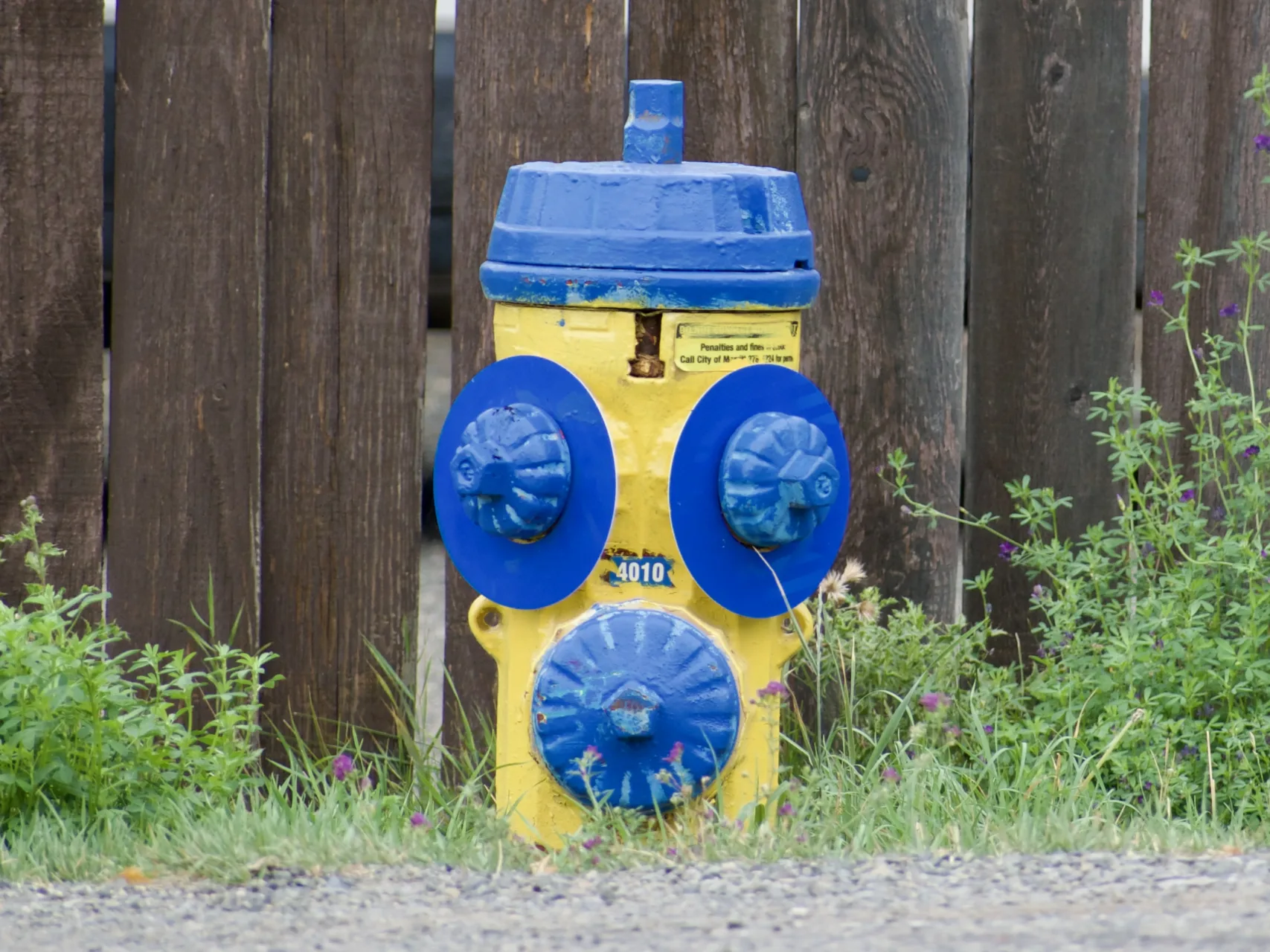 A yellow fire hydrant with blue top and three blue caps in a triangle on the front