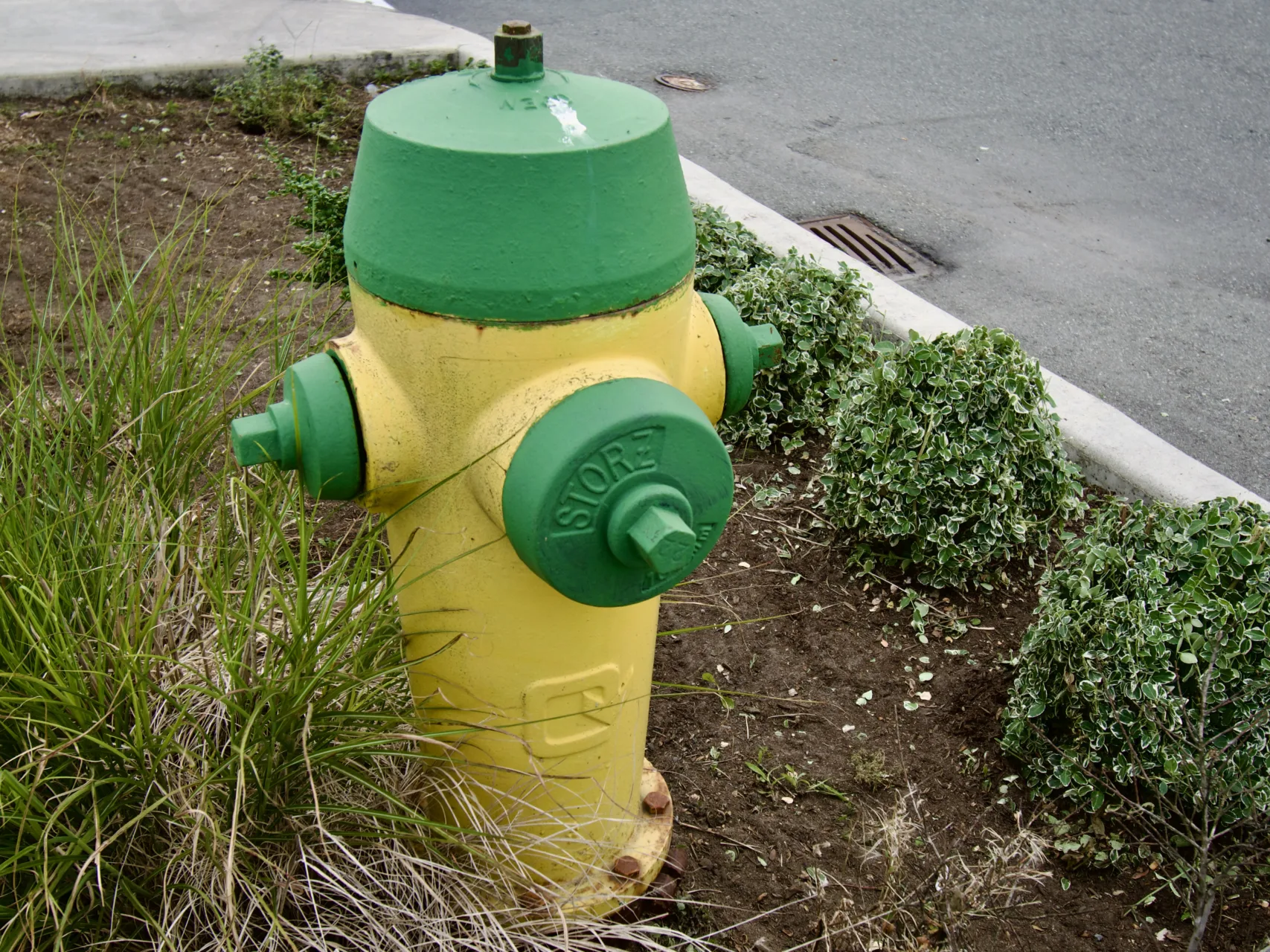 A yellow fire hydrant with green top and green caps